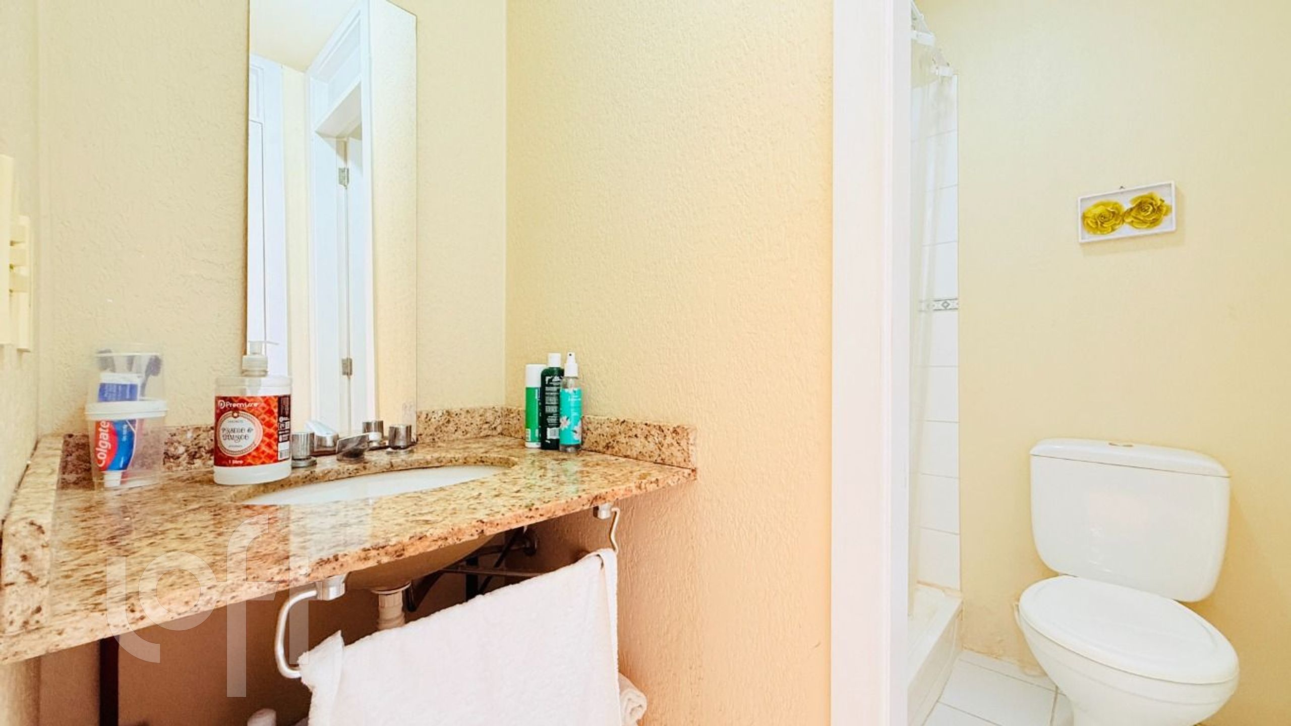 Imagem da propriedade 10