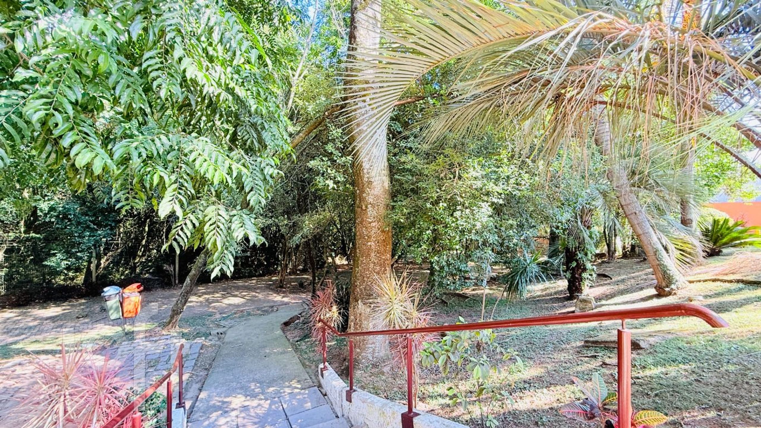 Imagem da propriedade 28