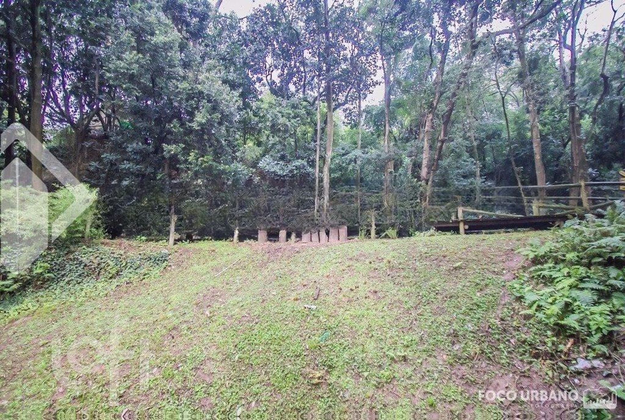 Imagem da propriedade 18