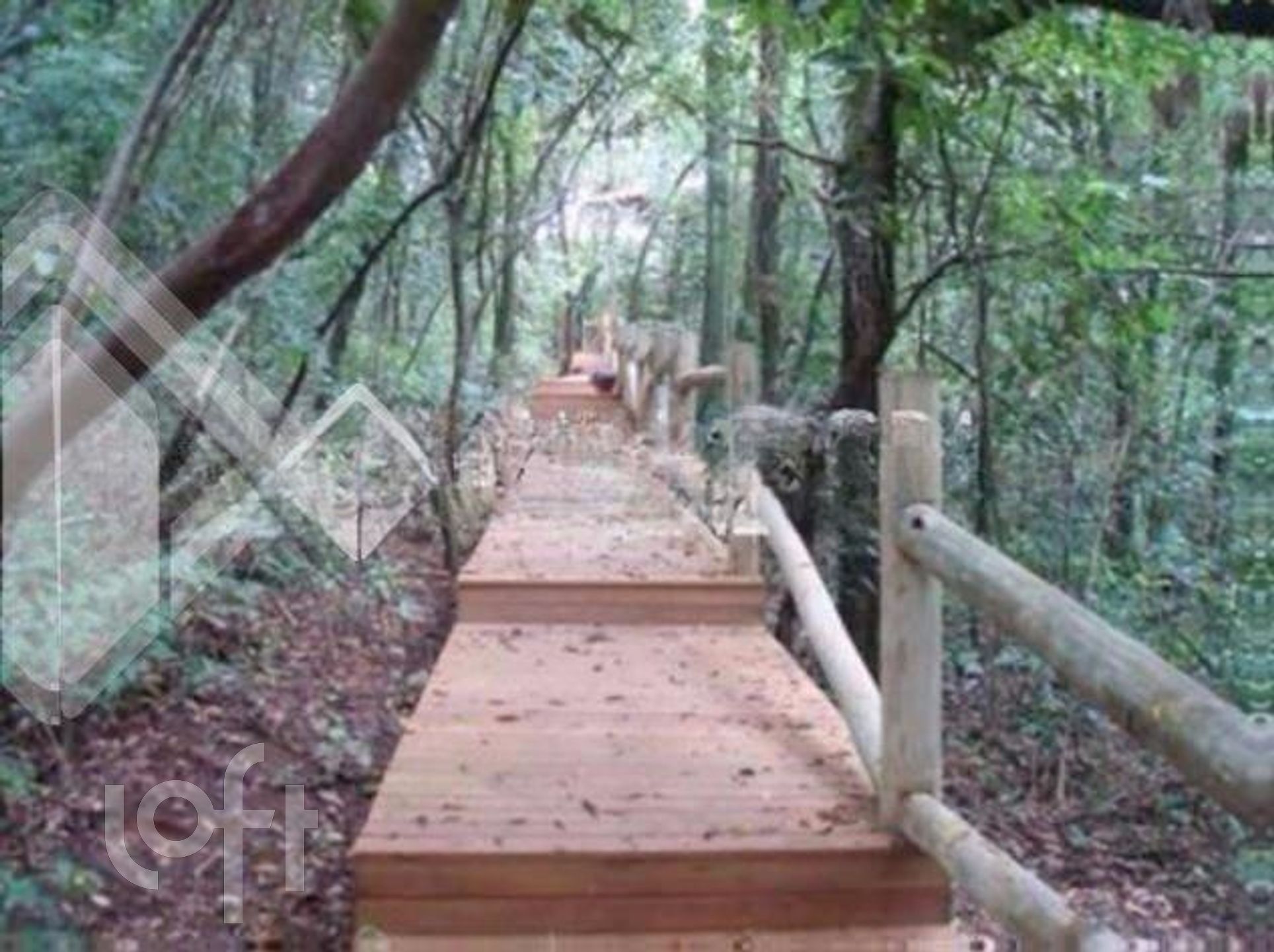 Imagem da propriedade 19