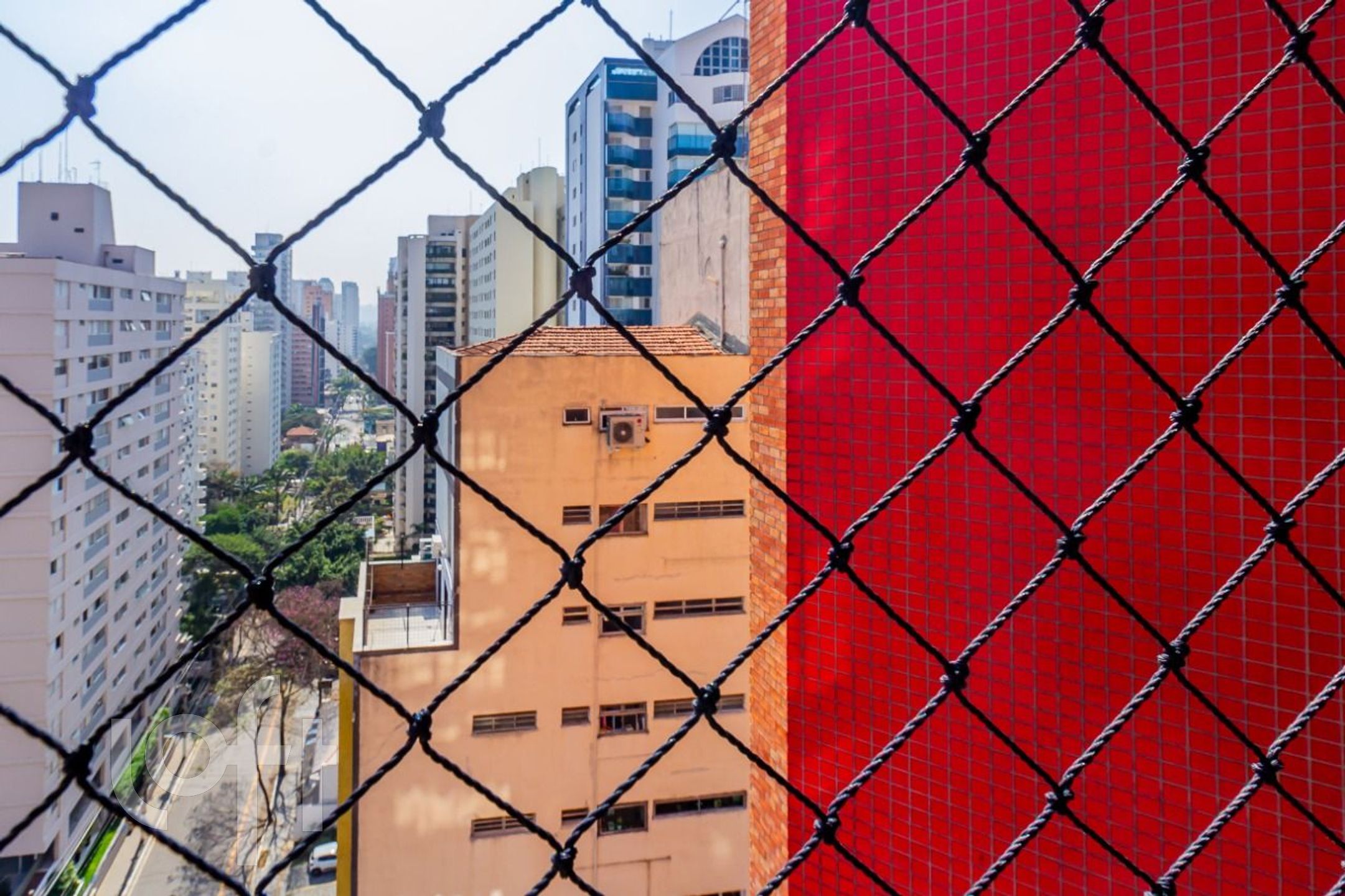 Imagem da propriedade 11