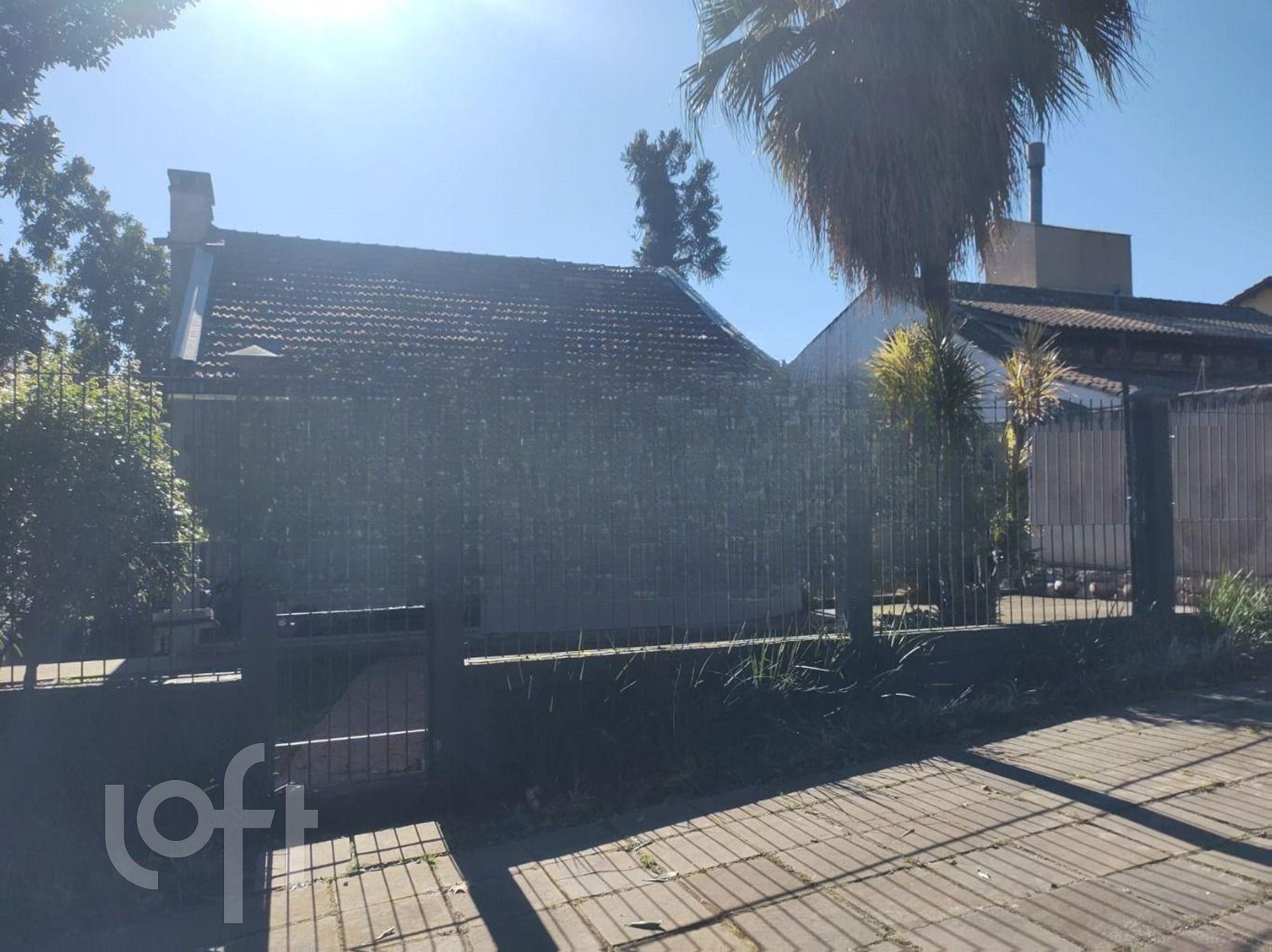 Imagem da propriedade 32