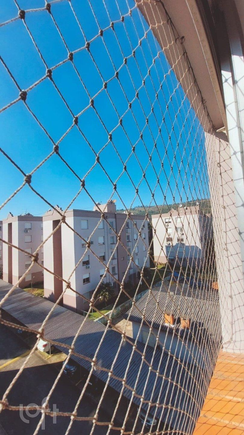 Imagem da propriedade 3