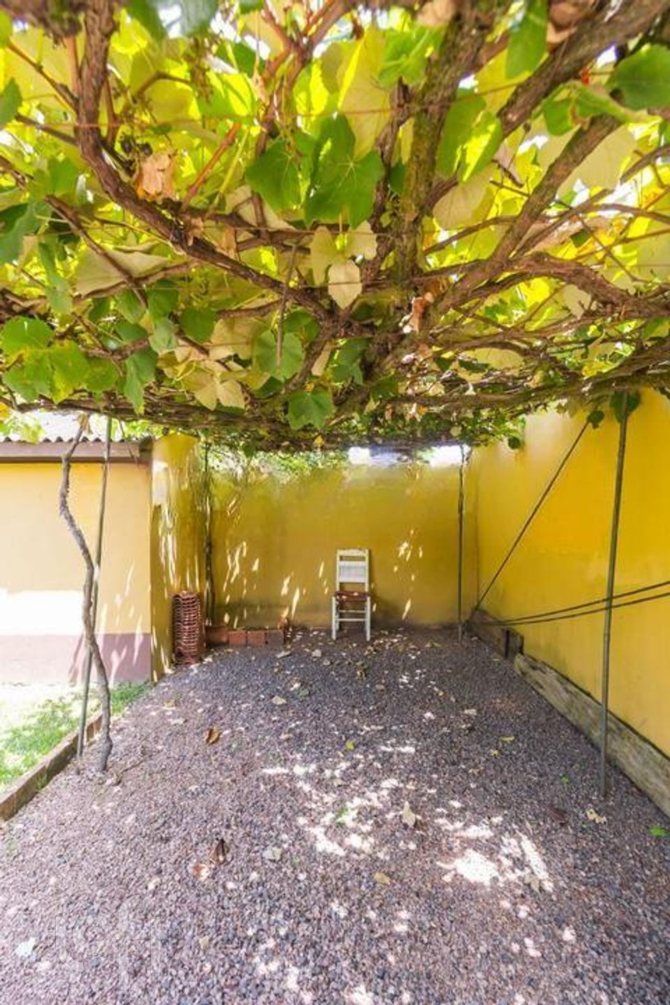 Imagem da propriedade 37