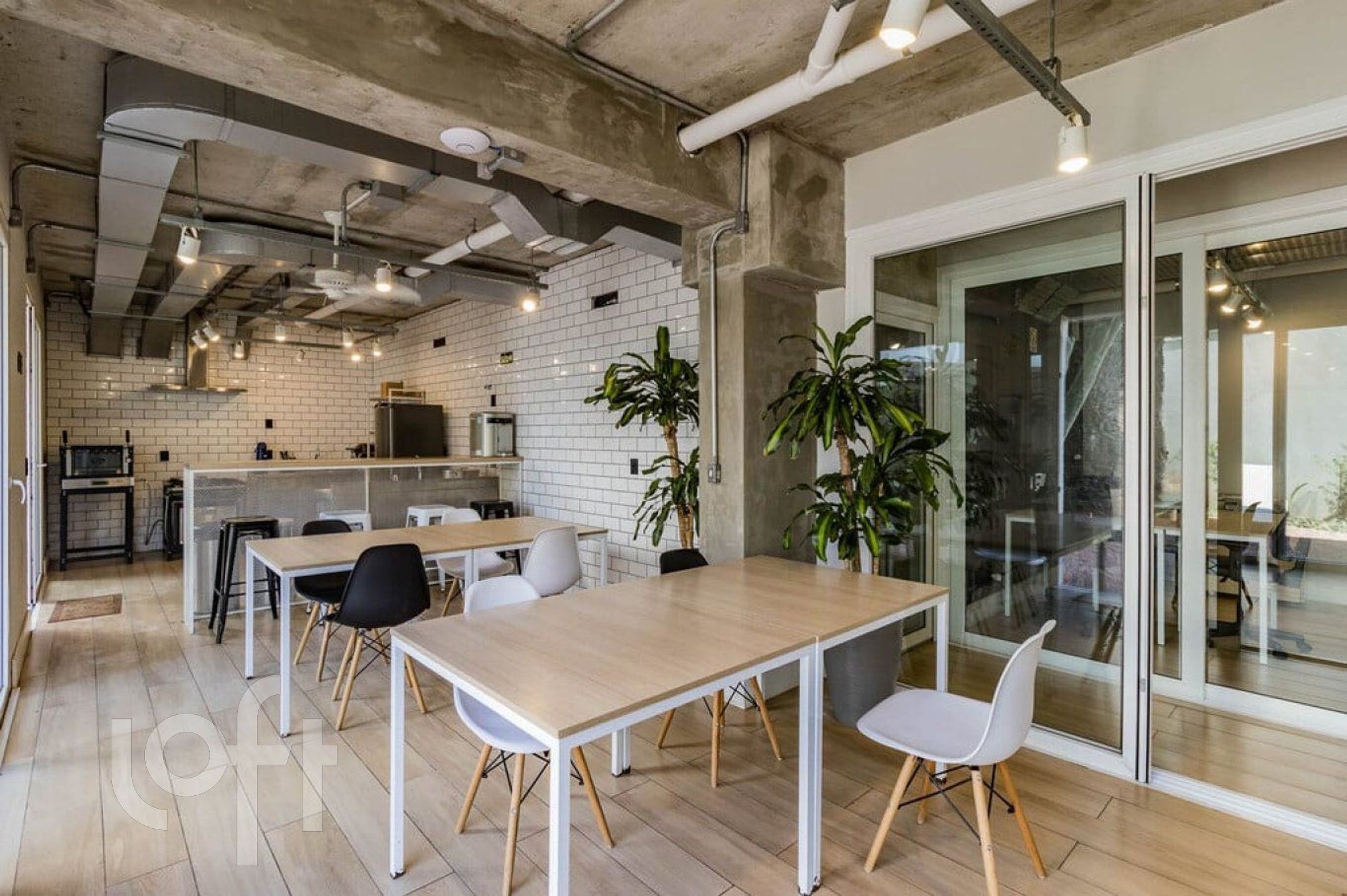 Imagem da propriedade 31