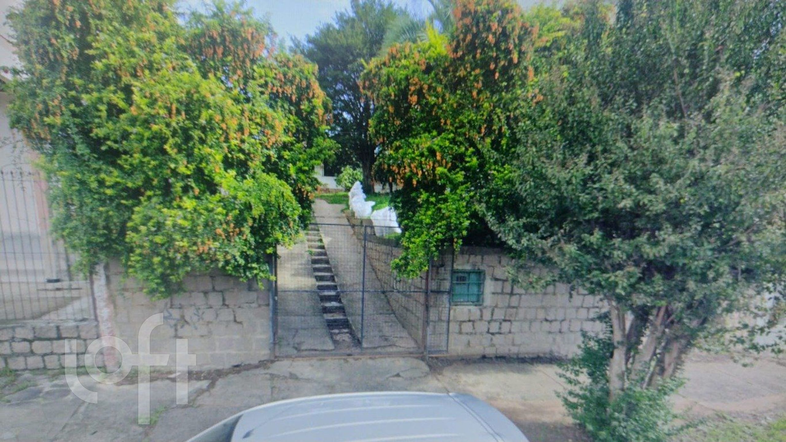 Imagem da propriedade 3