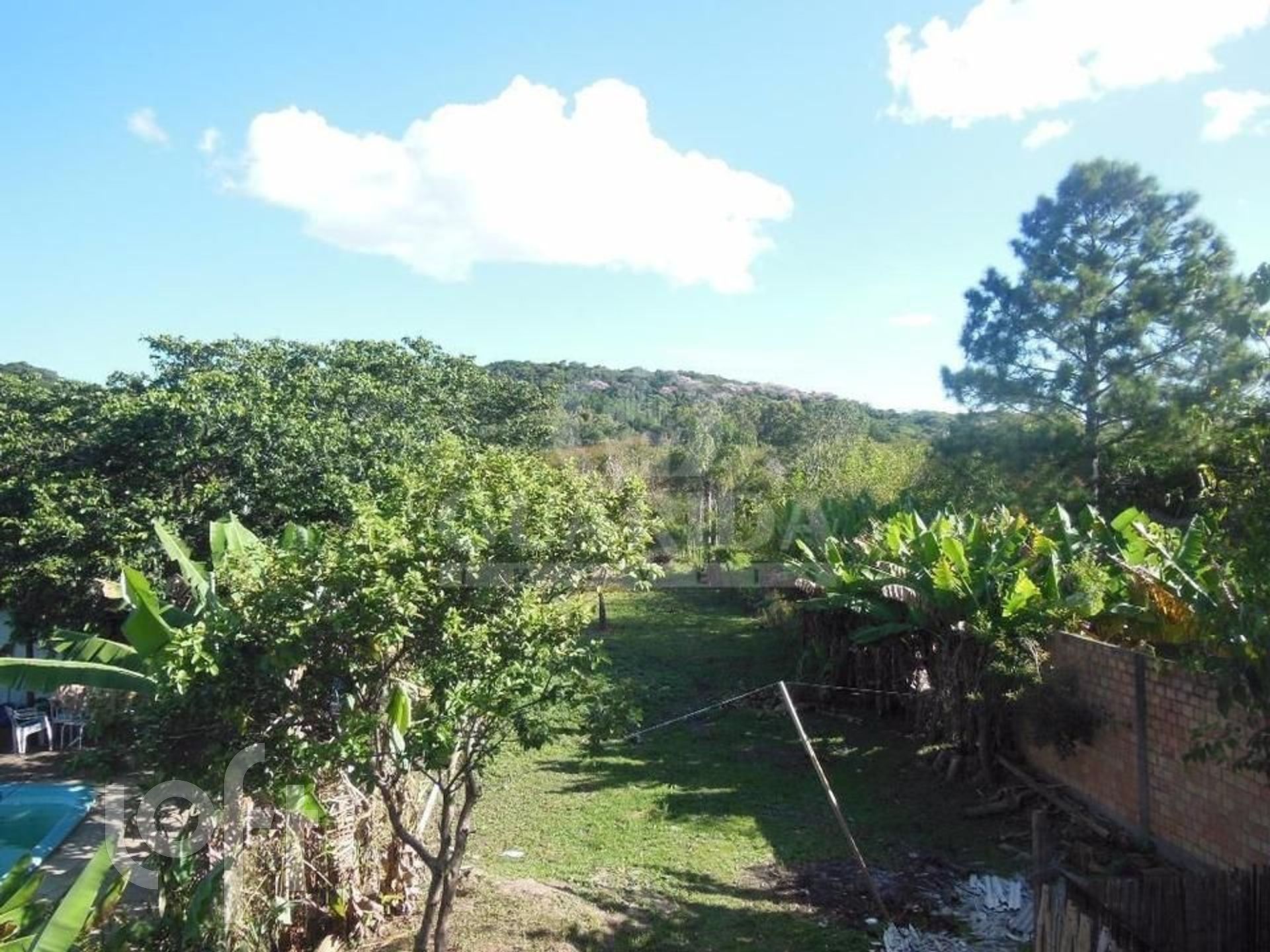 Imagem da propriedade 10