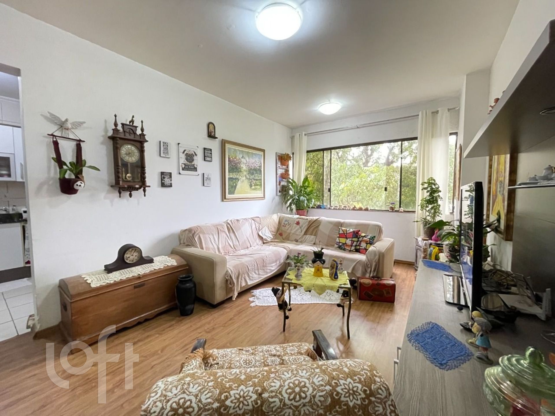 Imagem da propriedade 4