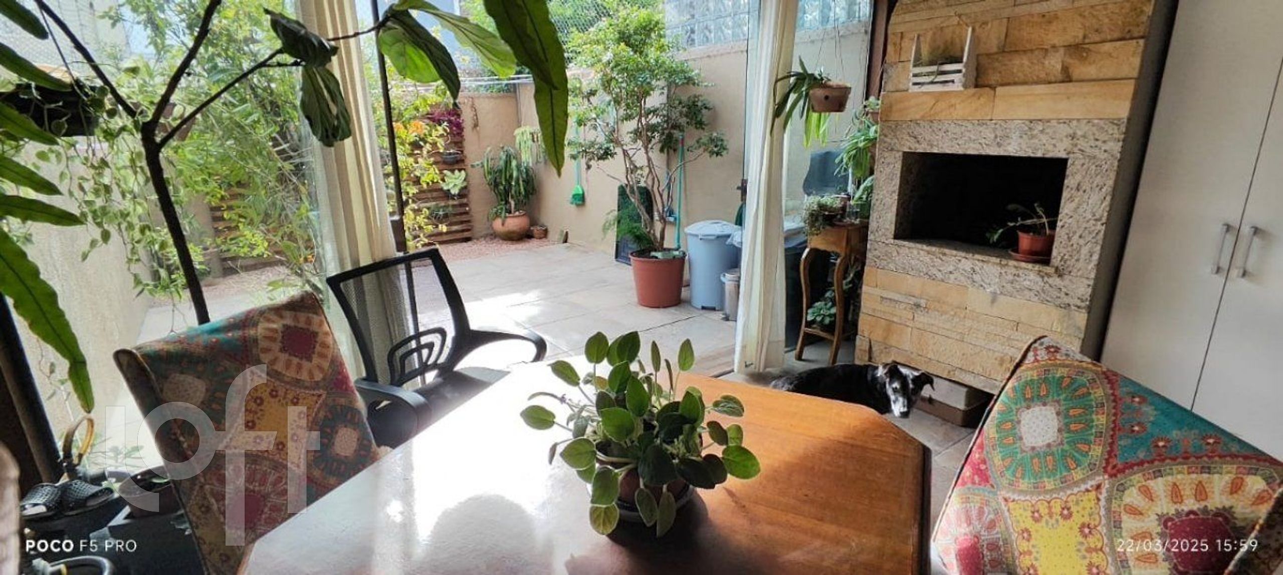 Imagem da propriedade 2