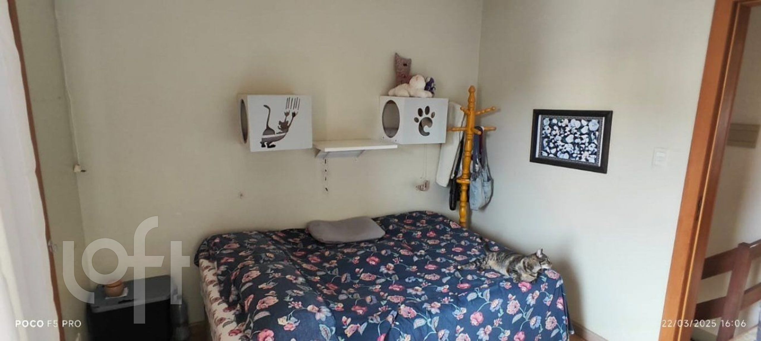 Imagem da propriedade 15