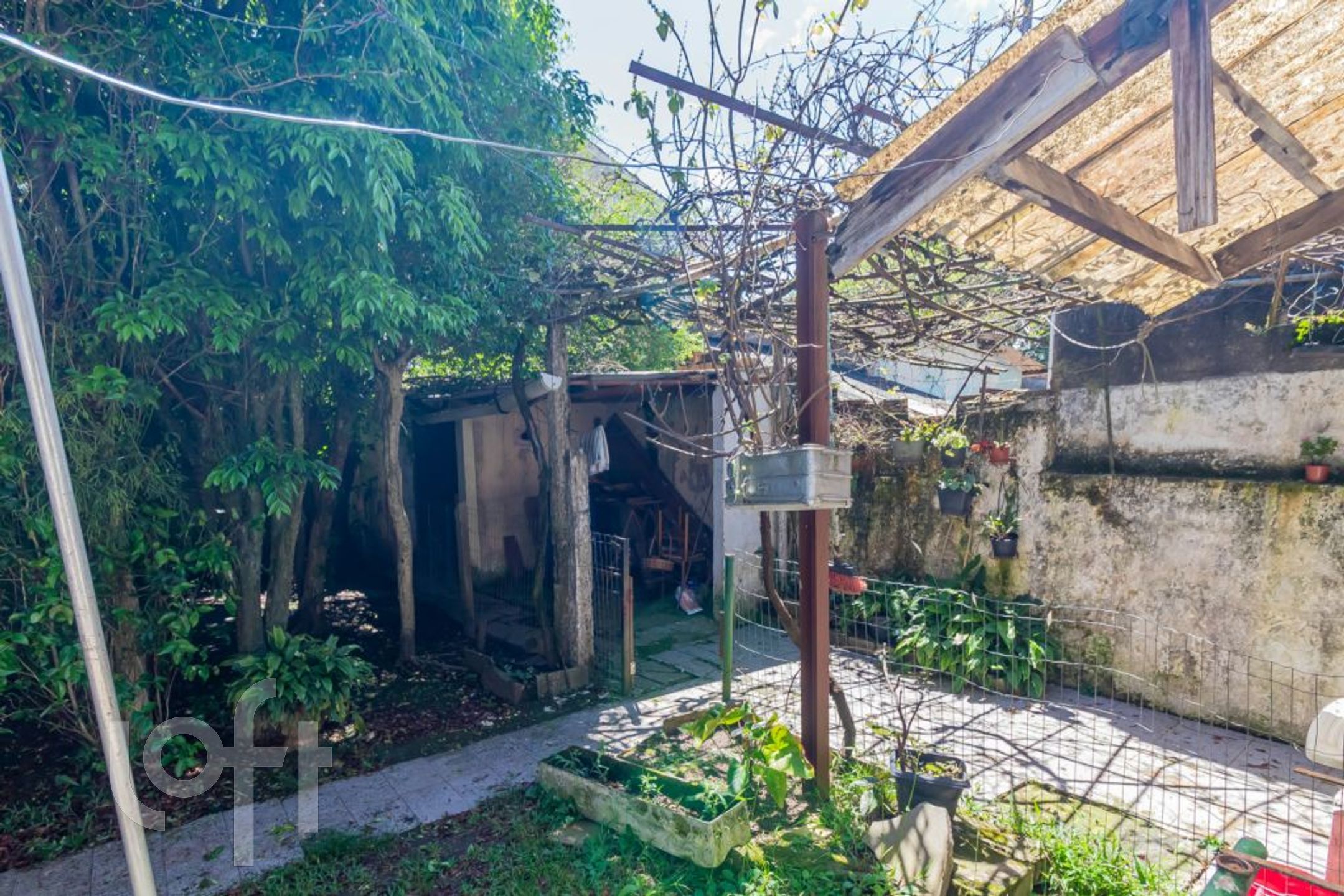 Imagem da propriedade 43