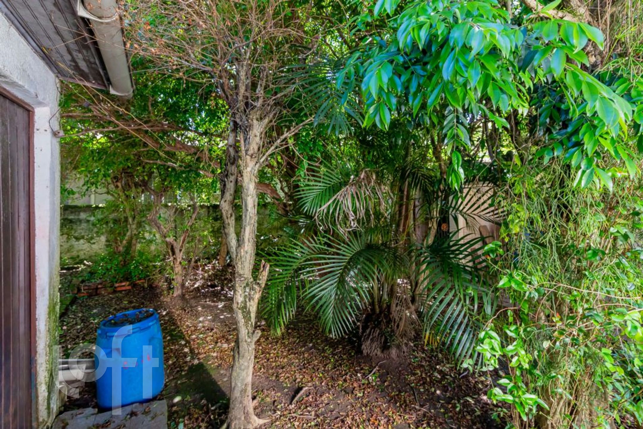 Imagem da propriedade 37