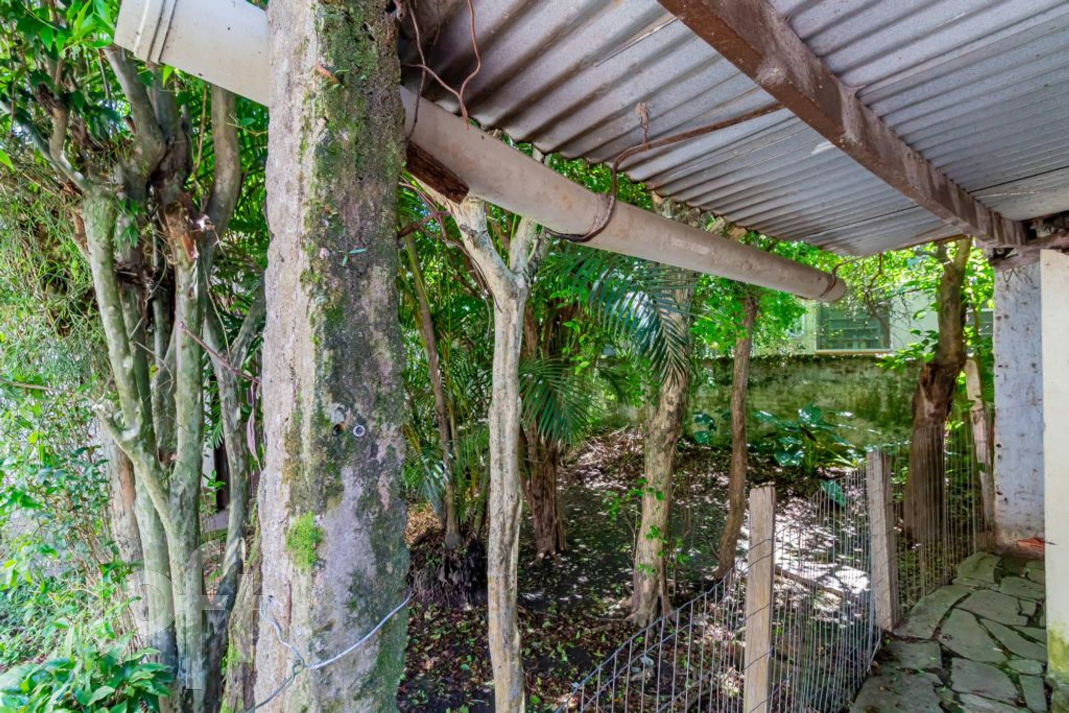 Imagem da propriedade 38