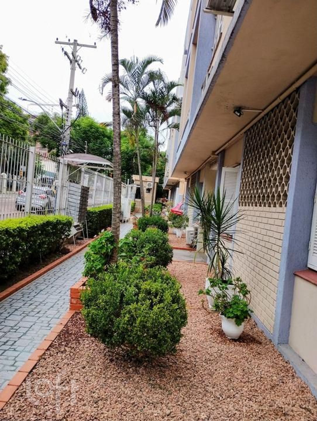 Imagem da propriedade 10