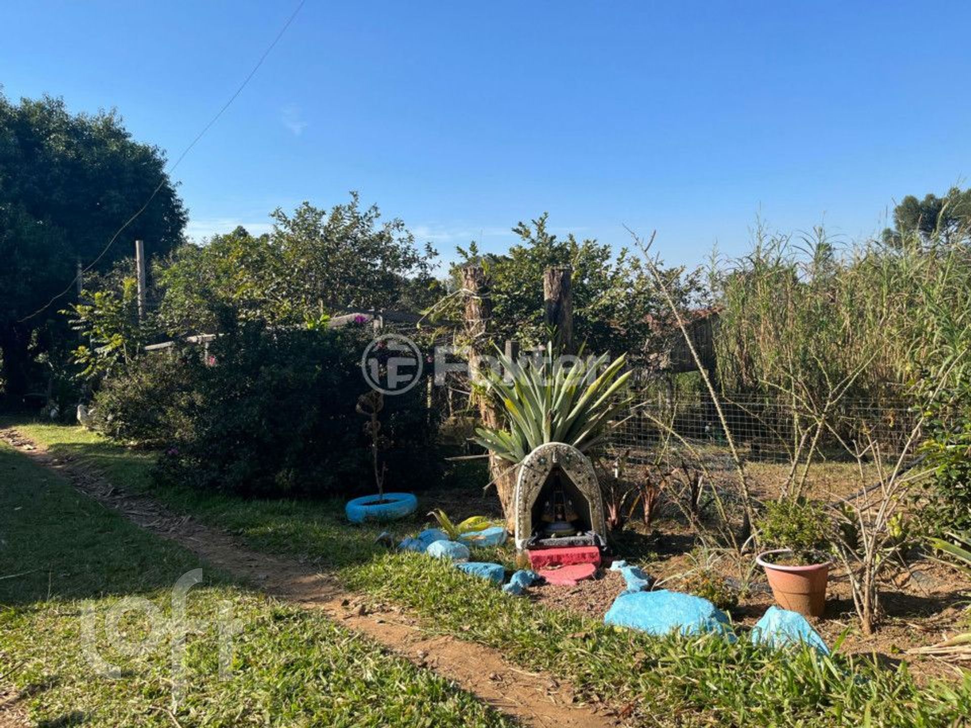 Imagem da propriedade 28