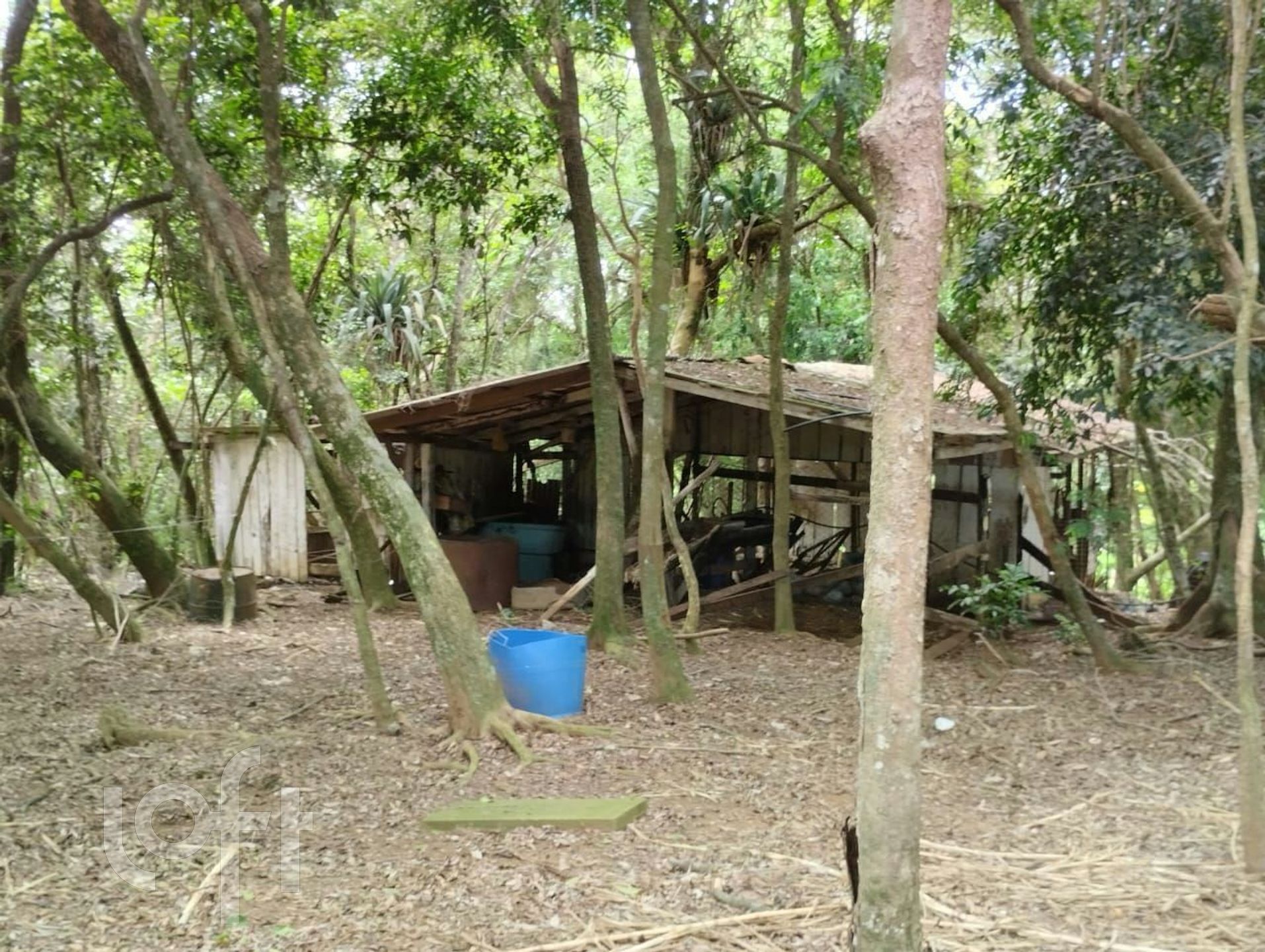 Imagem da propriedade 17