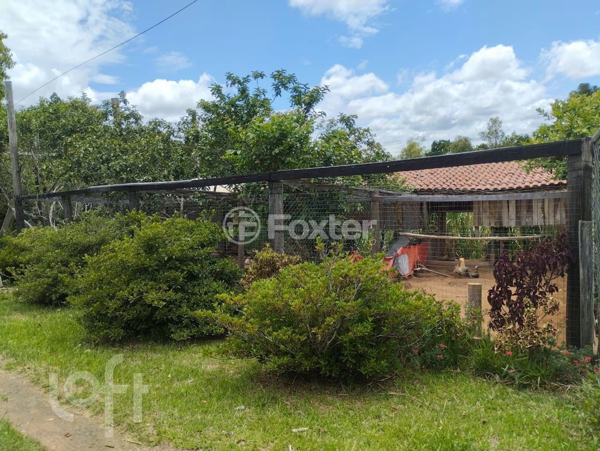 Imagem da propriedade 18