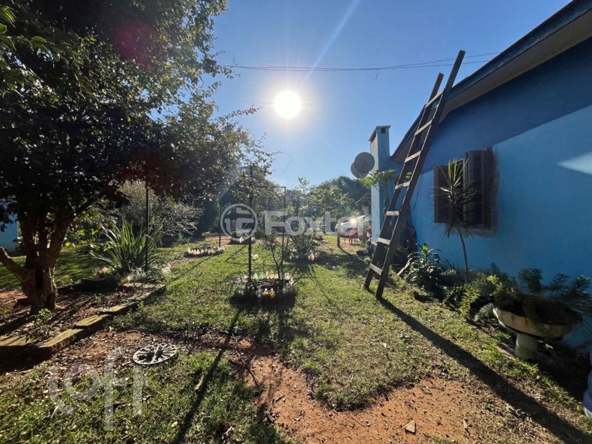 Imagem da propriedade 11