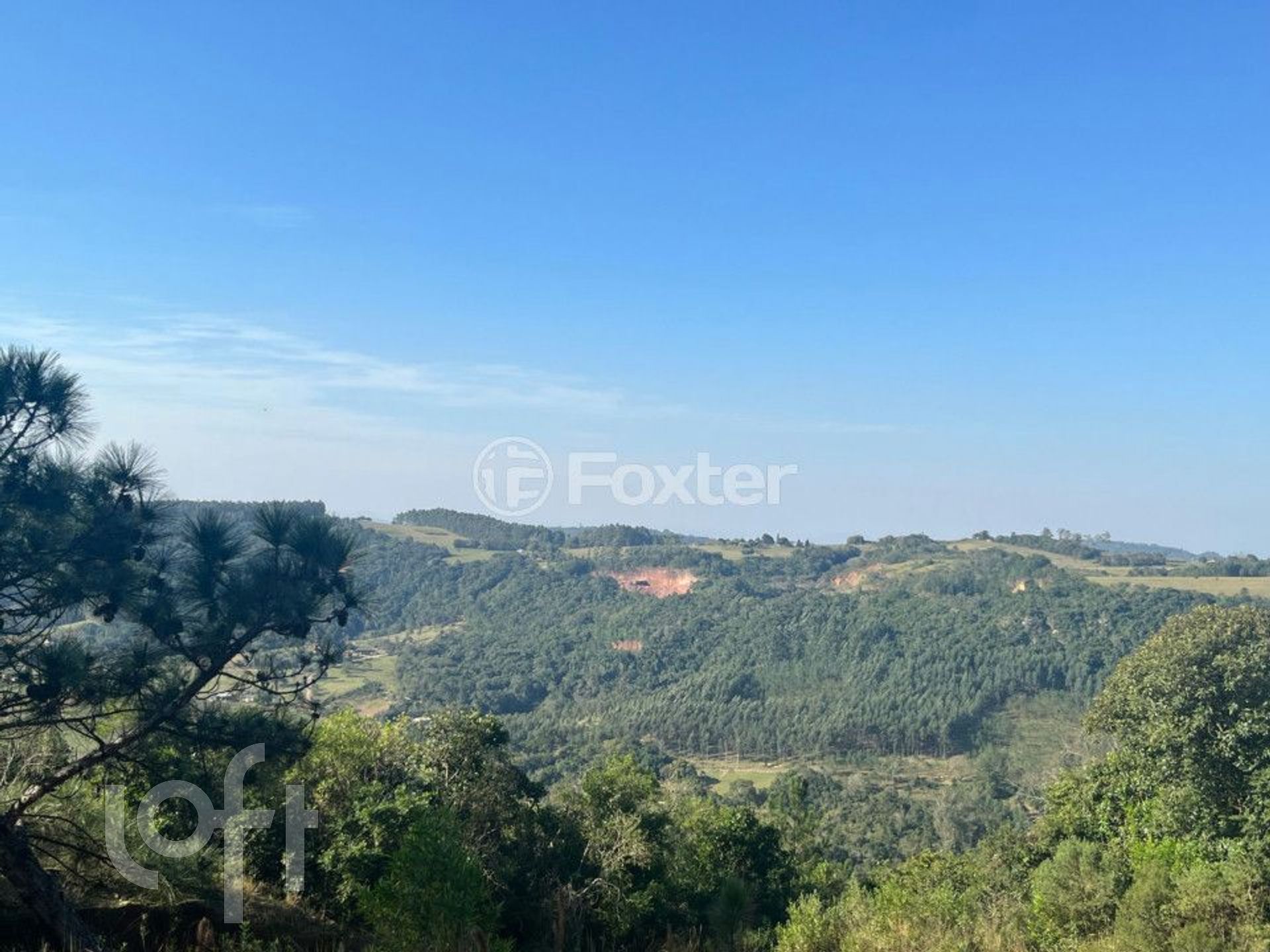 Imagem da propriedade 21