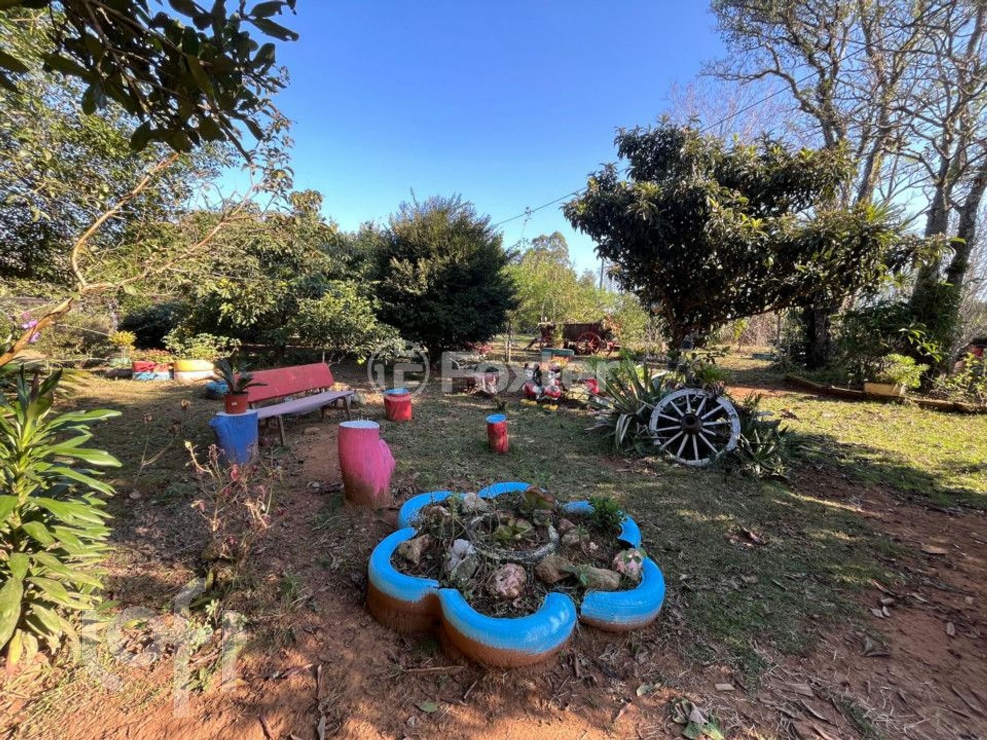 Imagem da propriedade 27