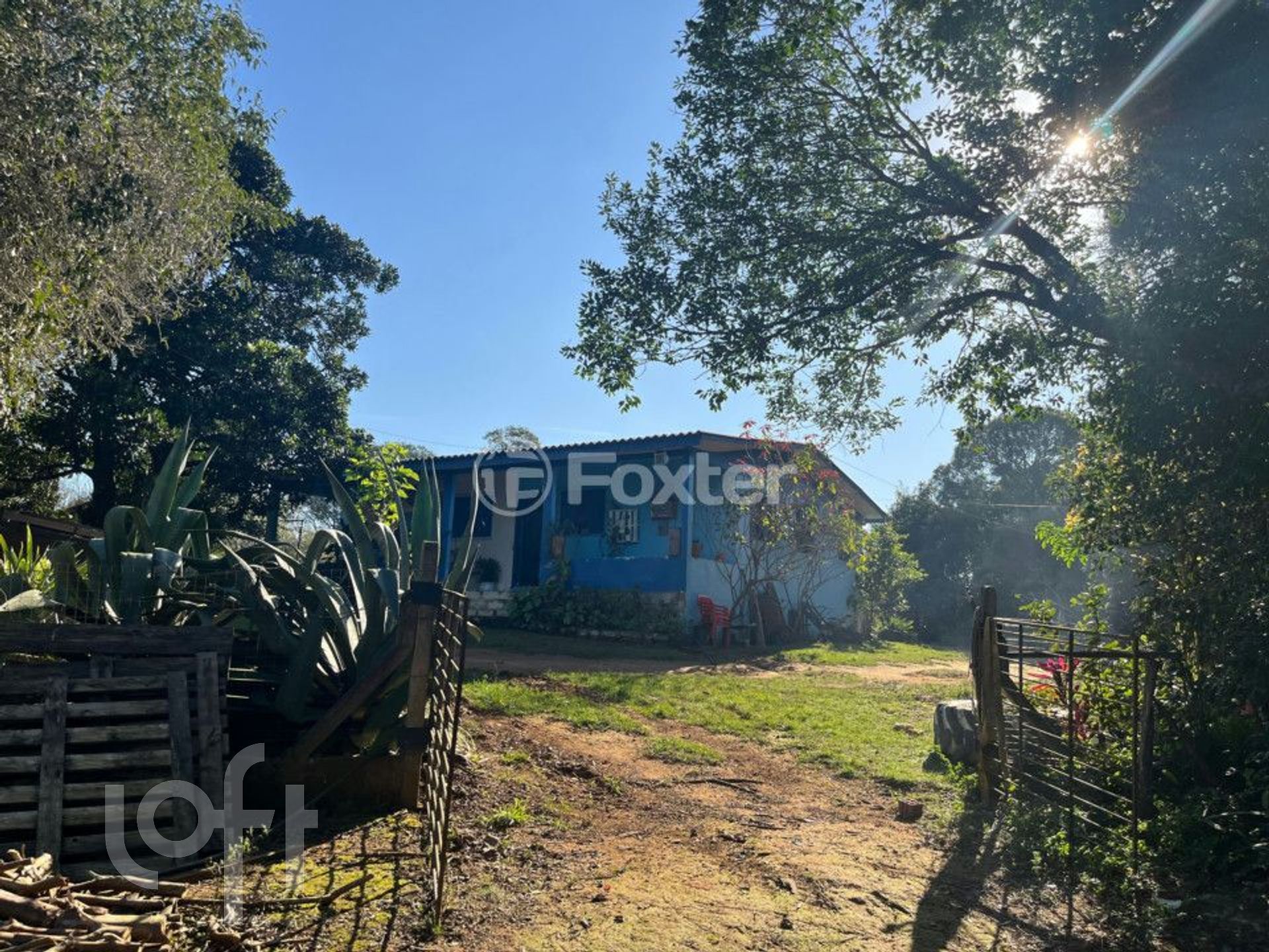 Imagem da propriedade 31