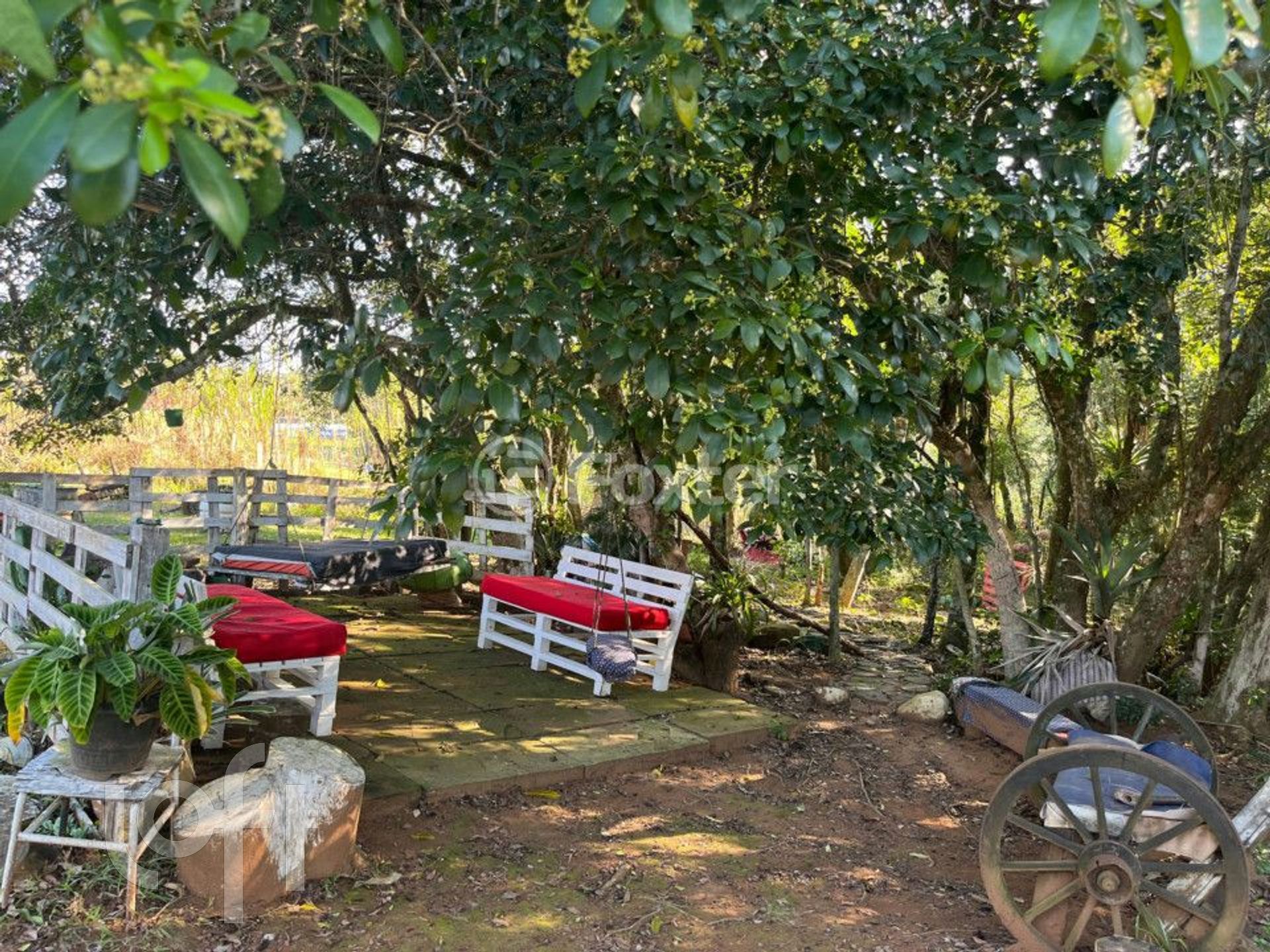 Imagem da propriedade 30