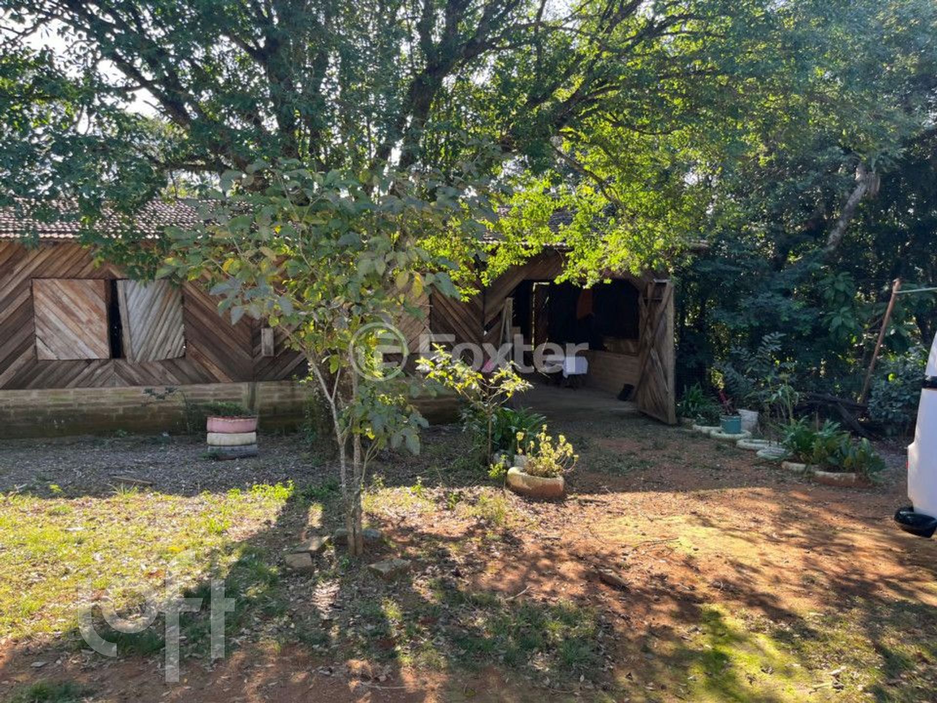 Imagem da propriedade 13