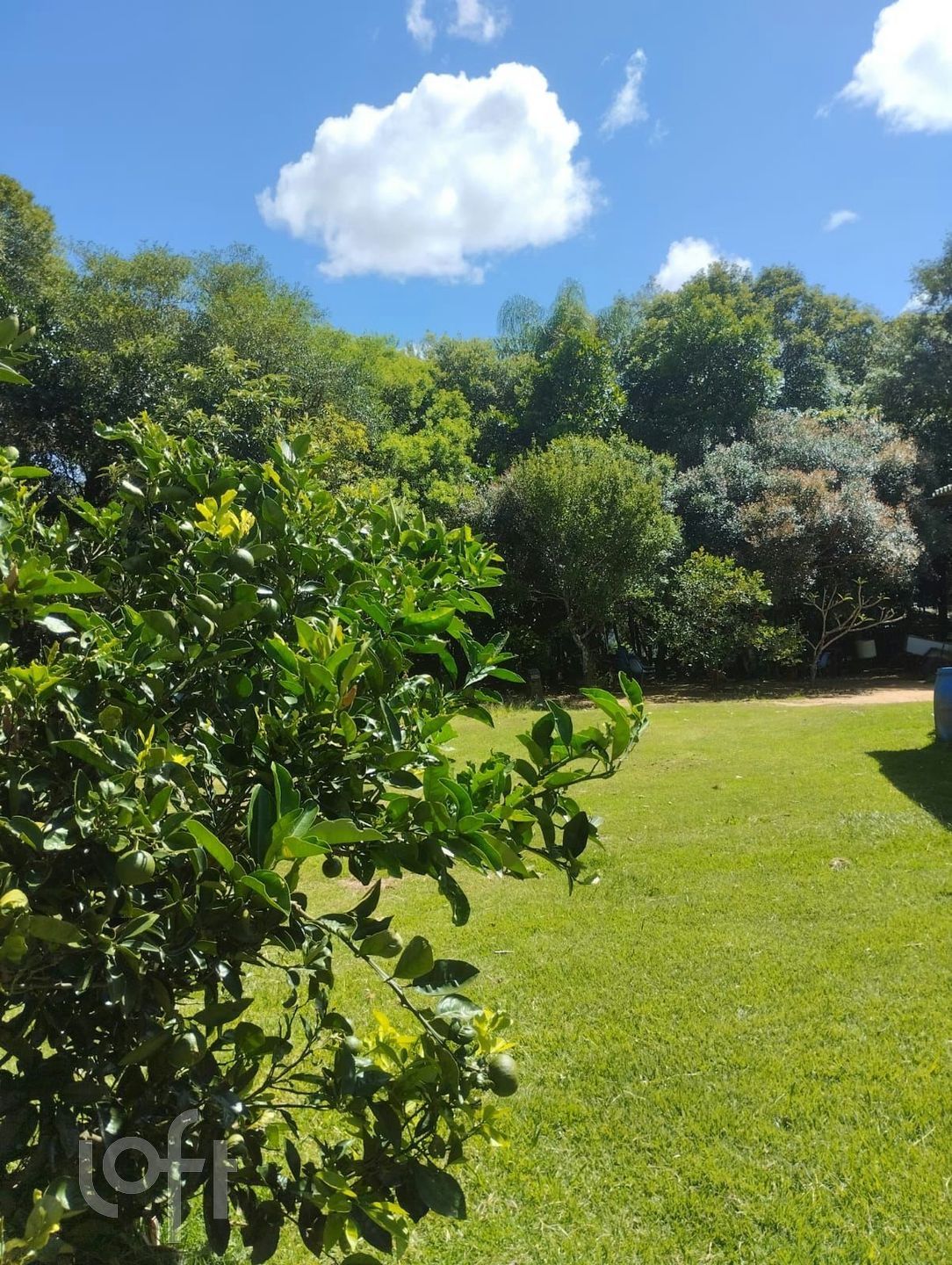 Imagem da propriedade 20