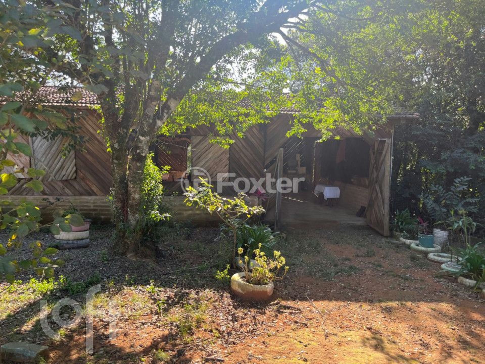 Imagem da propriedade 14