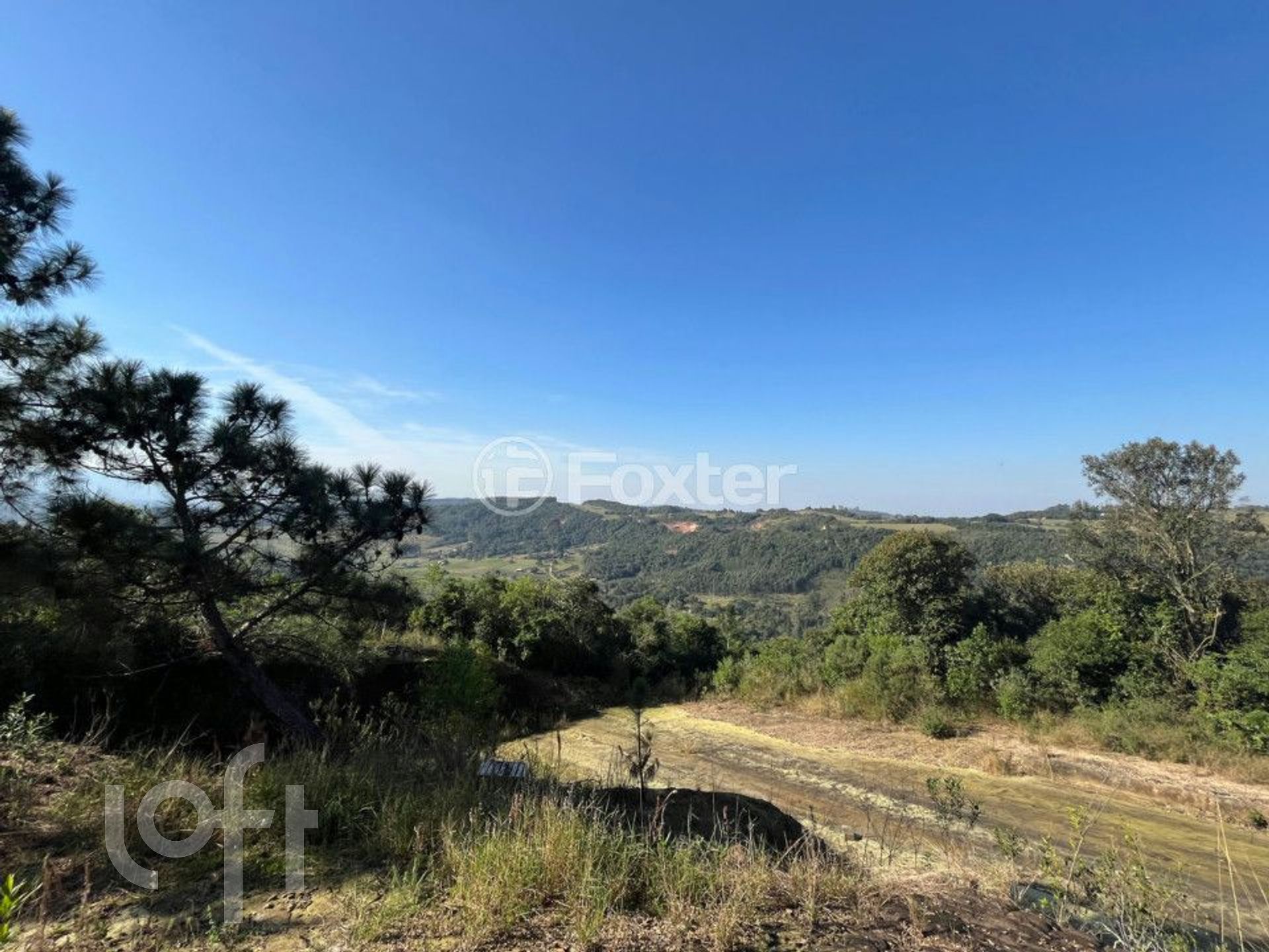 Imagem da propriedade 23