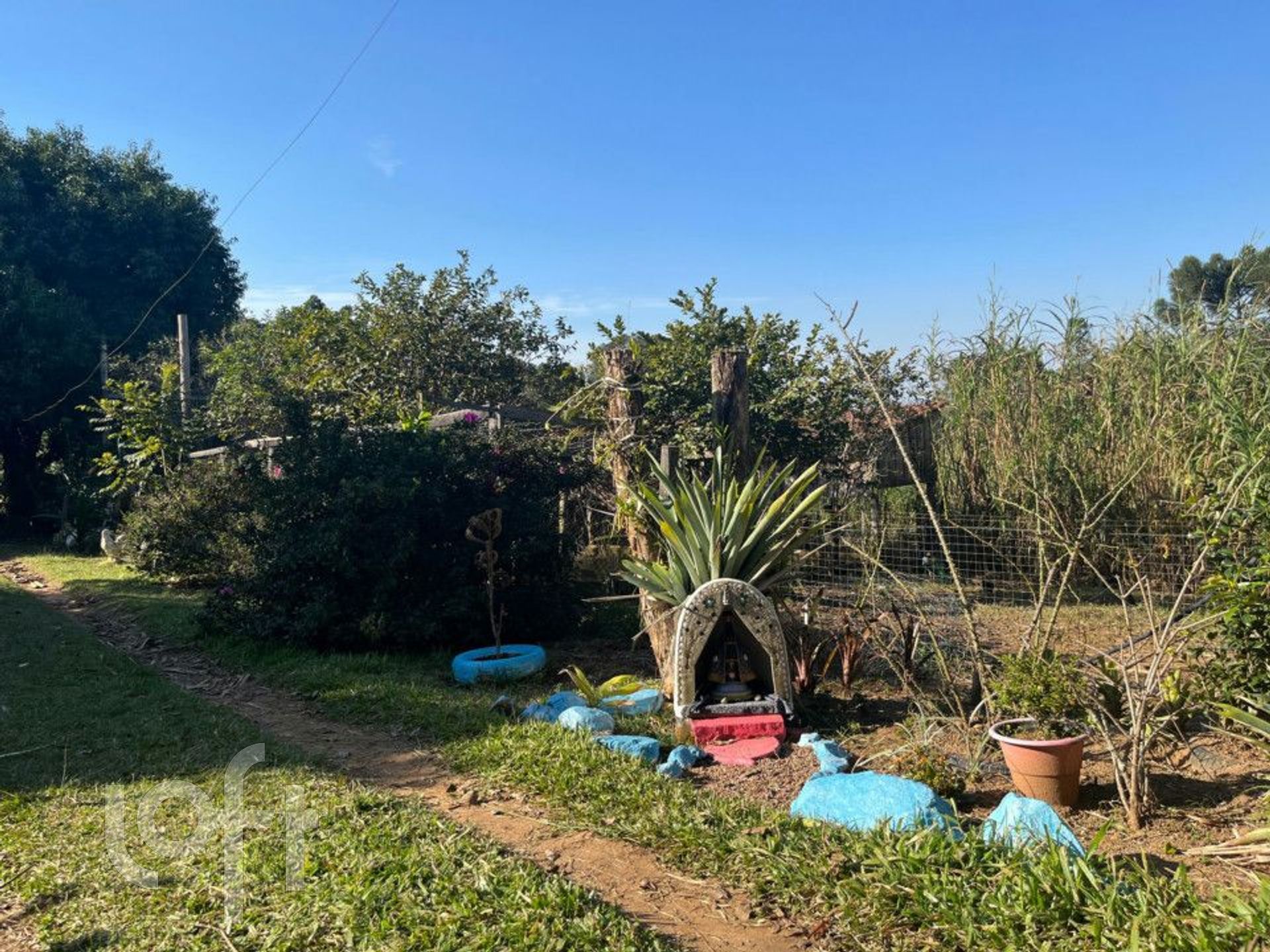 Imagem da propriedade 28