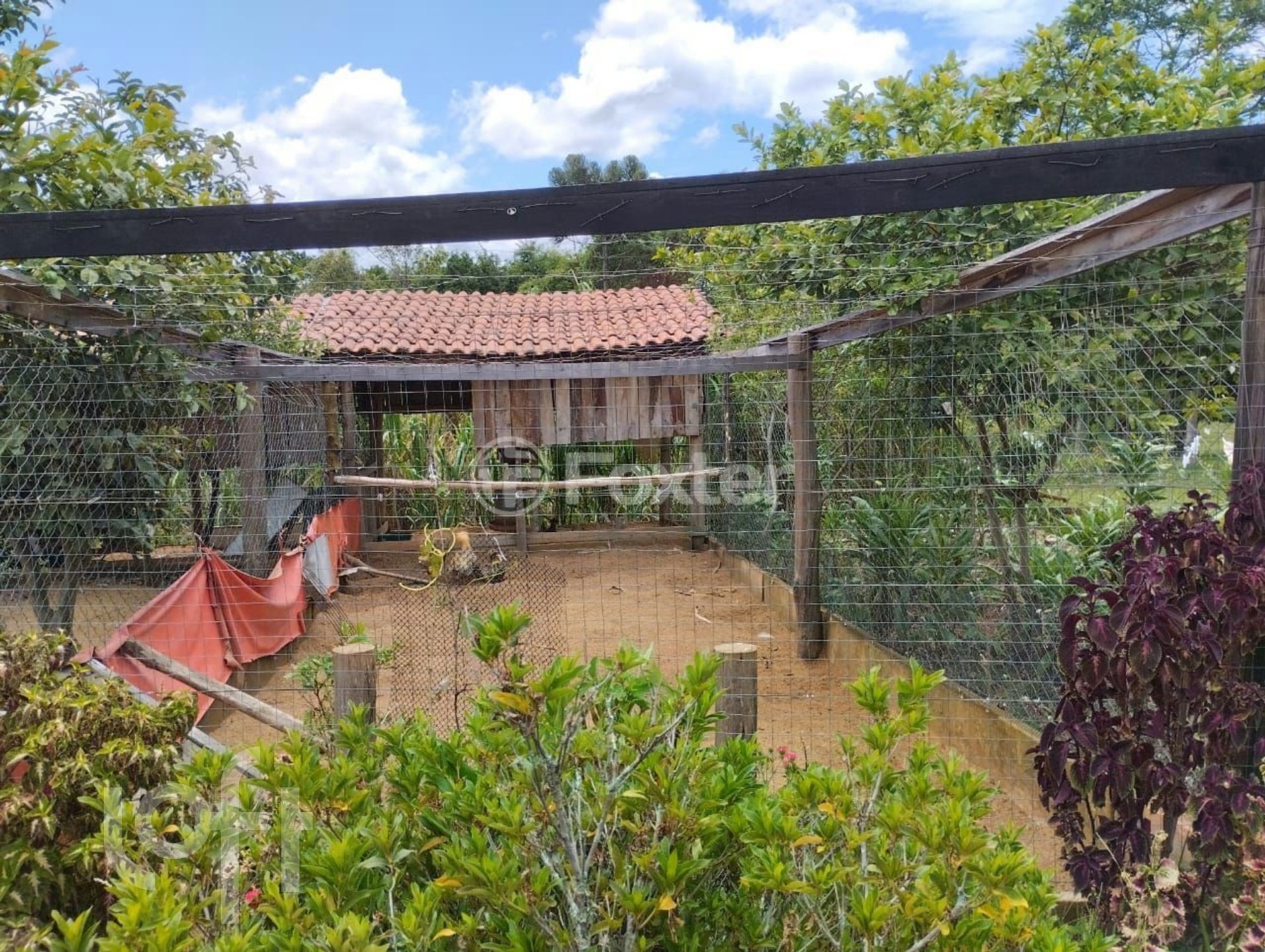 Imagem da propriedade 19