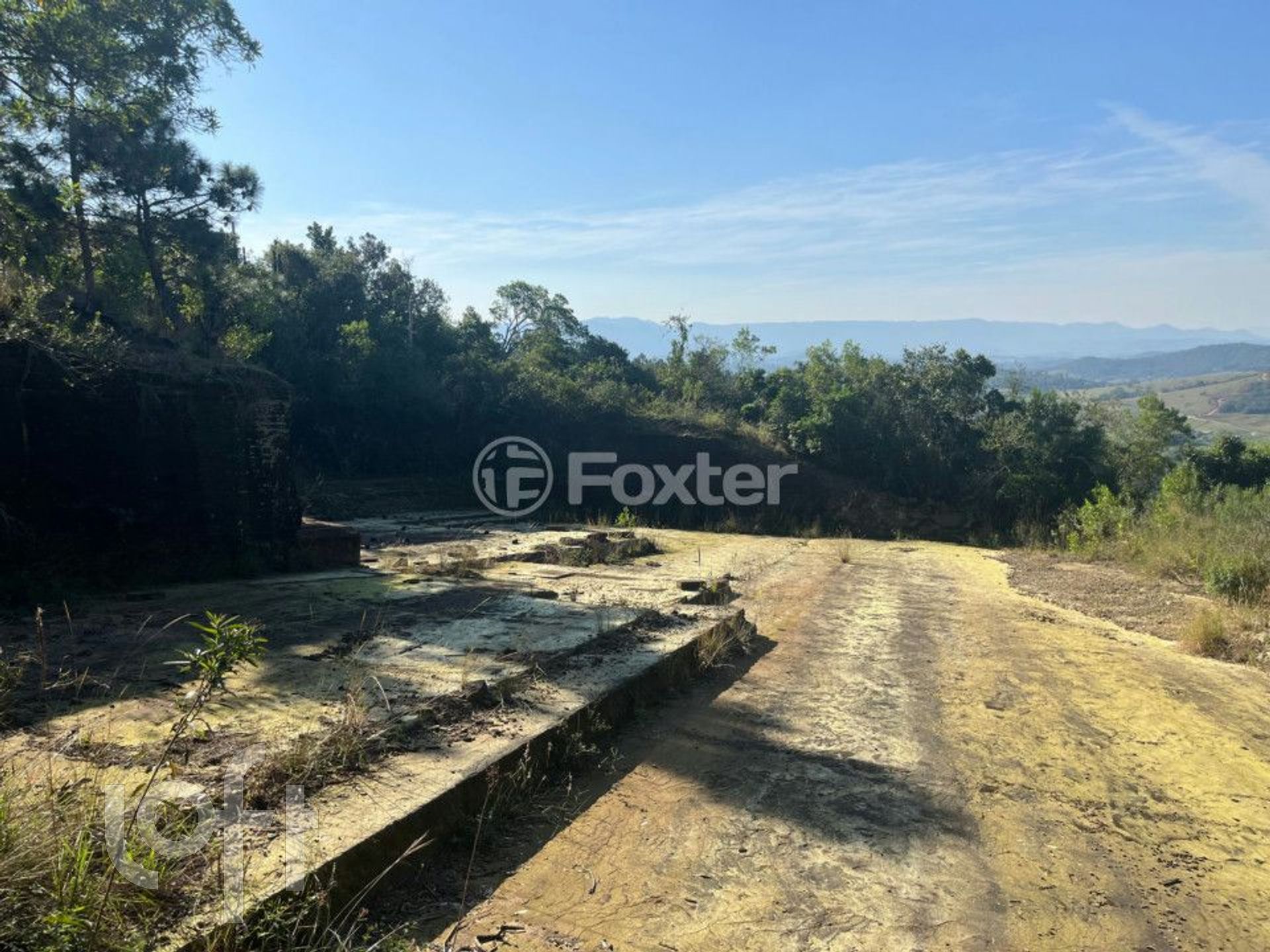 Imagem da propriedade 24