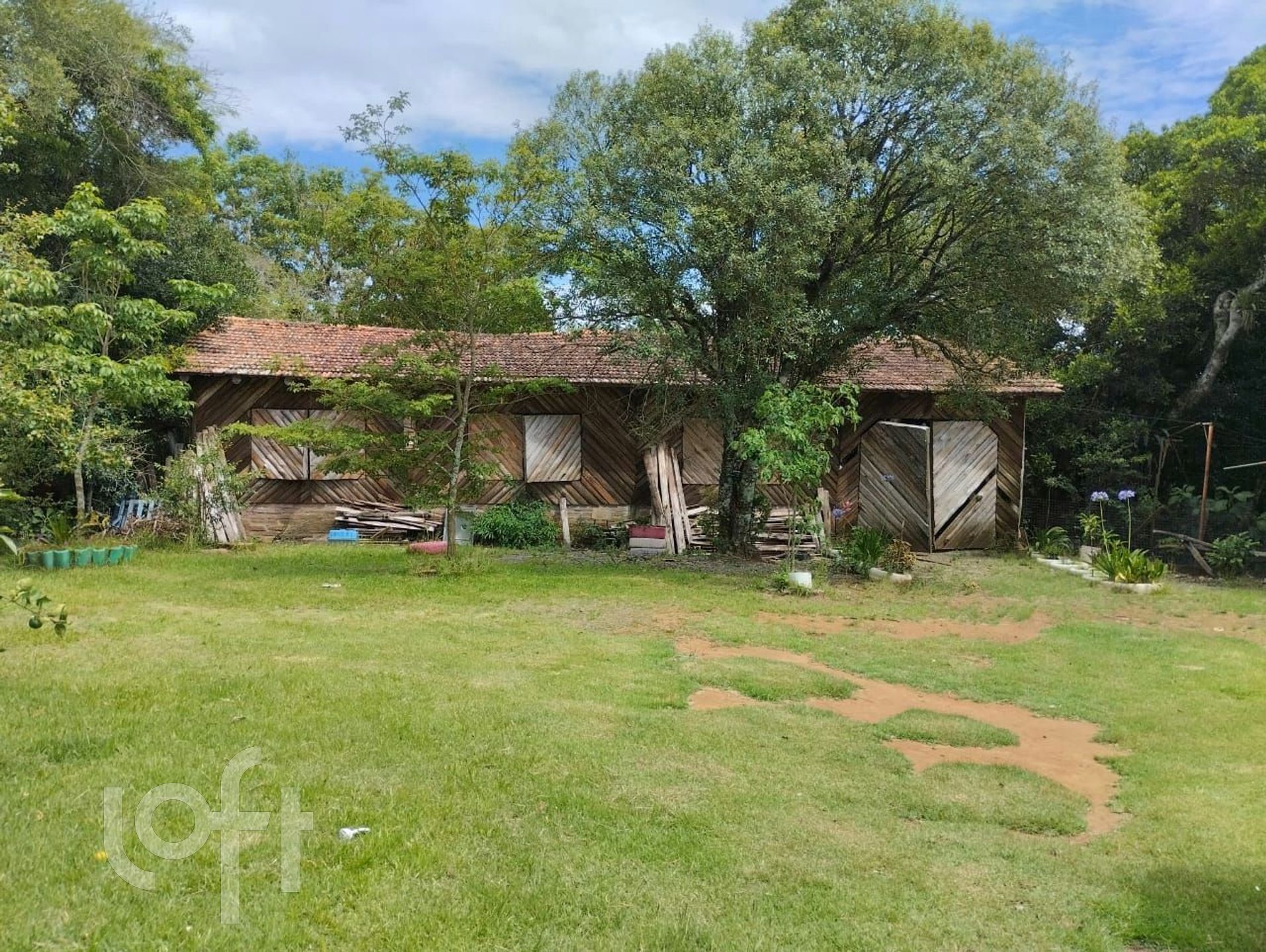 Imagem da propriedade 12