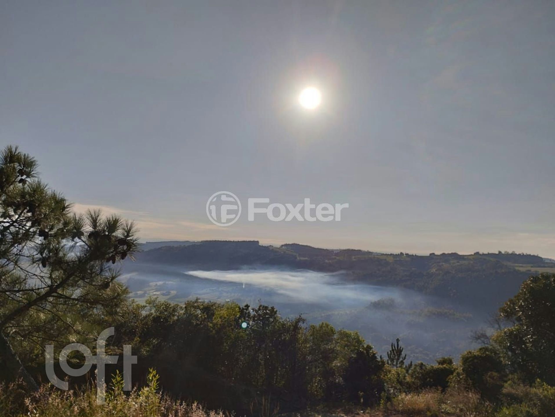 Imagem da propriedade 22