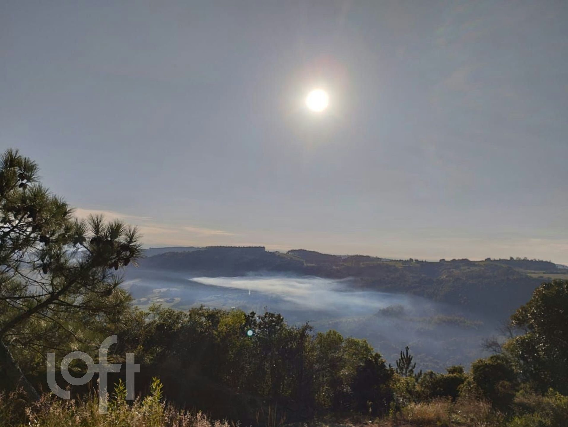 Imagem da propriedade 22