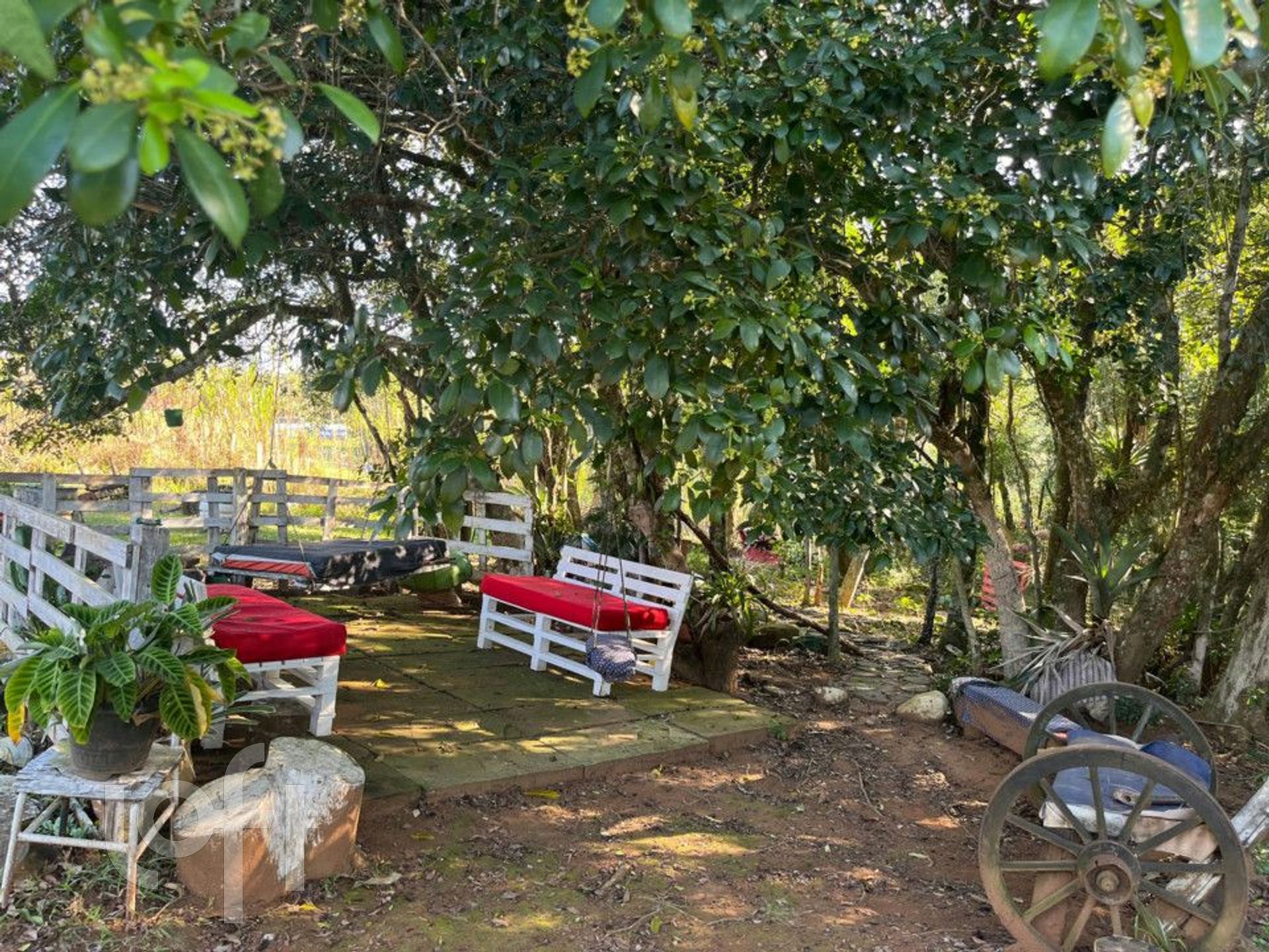 Imagem da propriedade 30