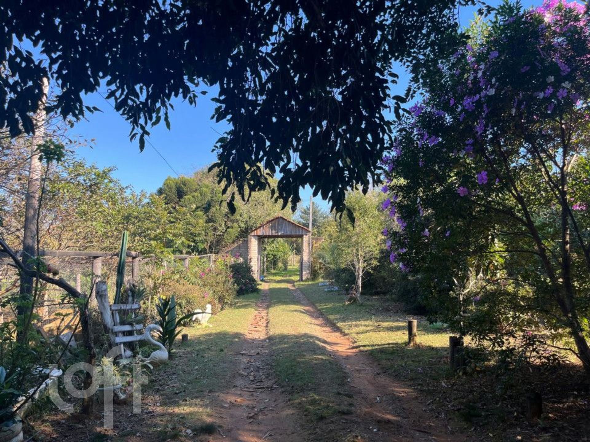 Imagem da propriedade 29