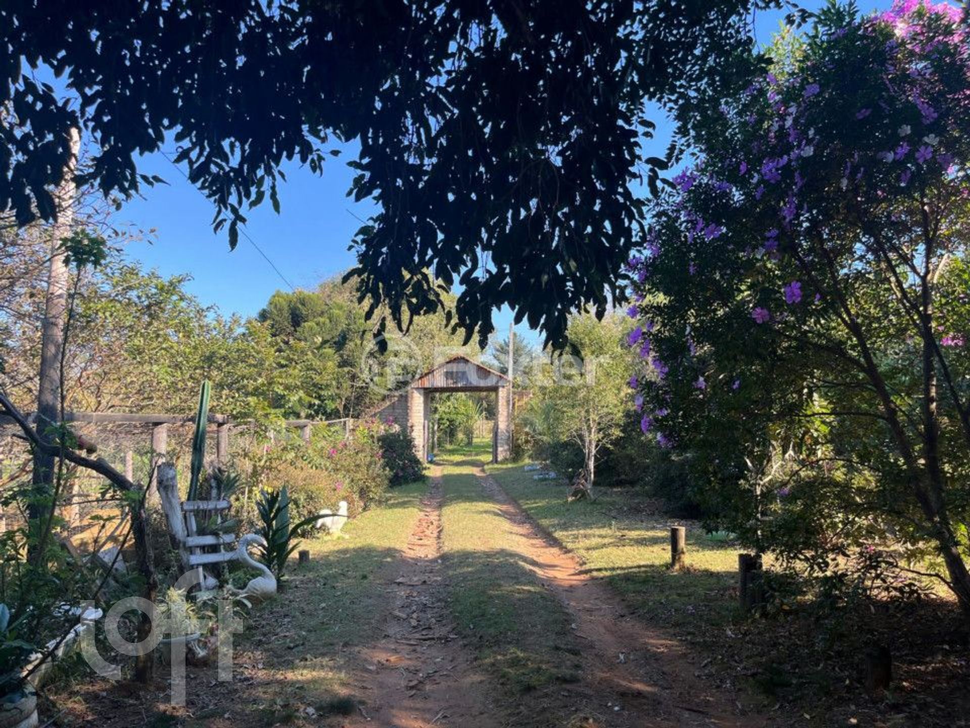 Imagem da propriedade 29