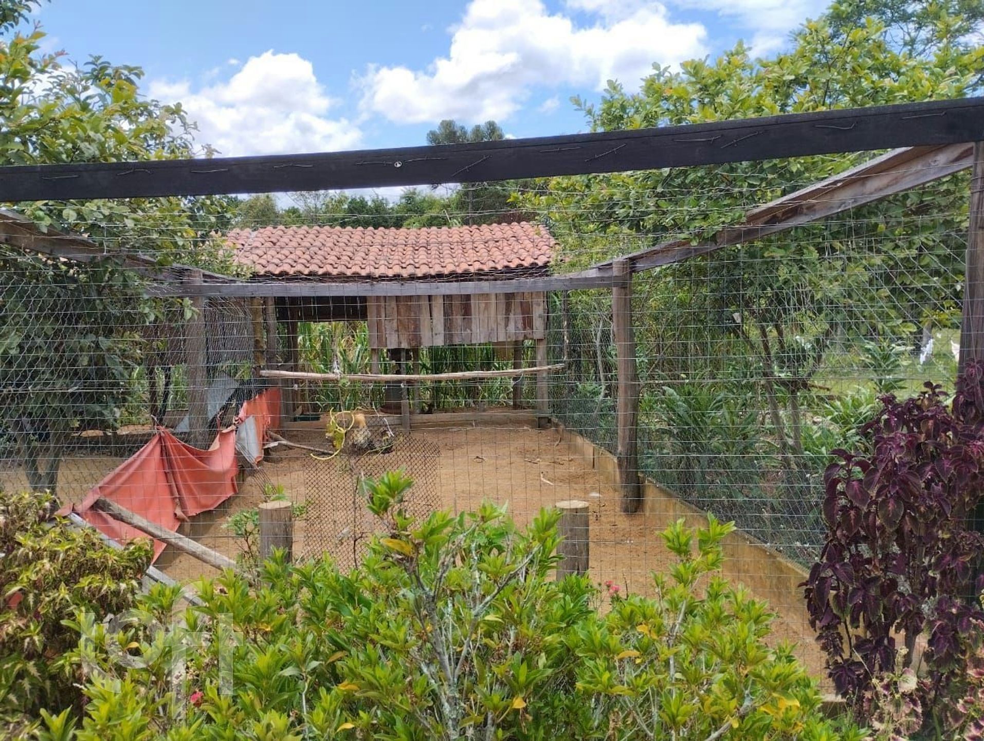 Imagem da propriedade 19