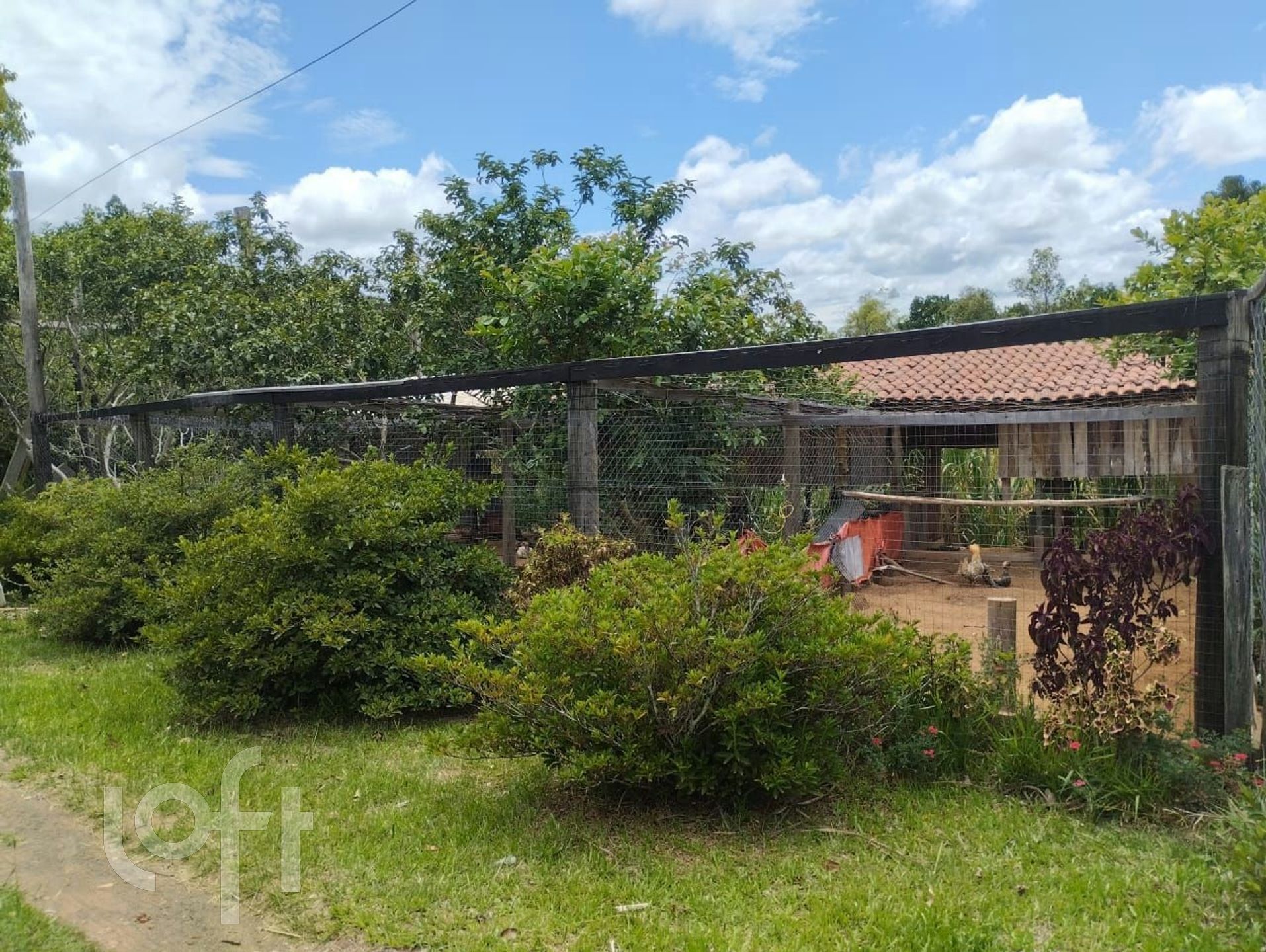 Imagem da propriedade 18