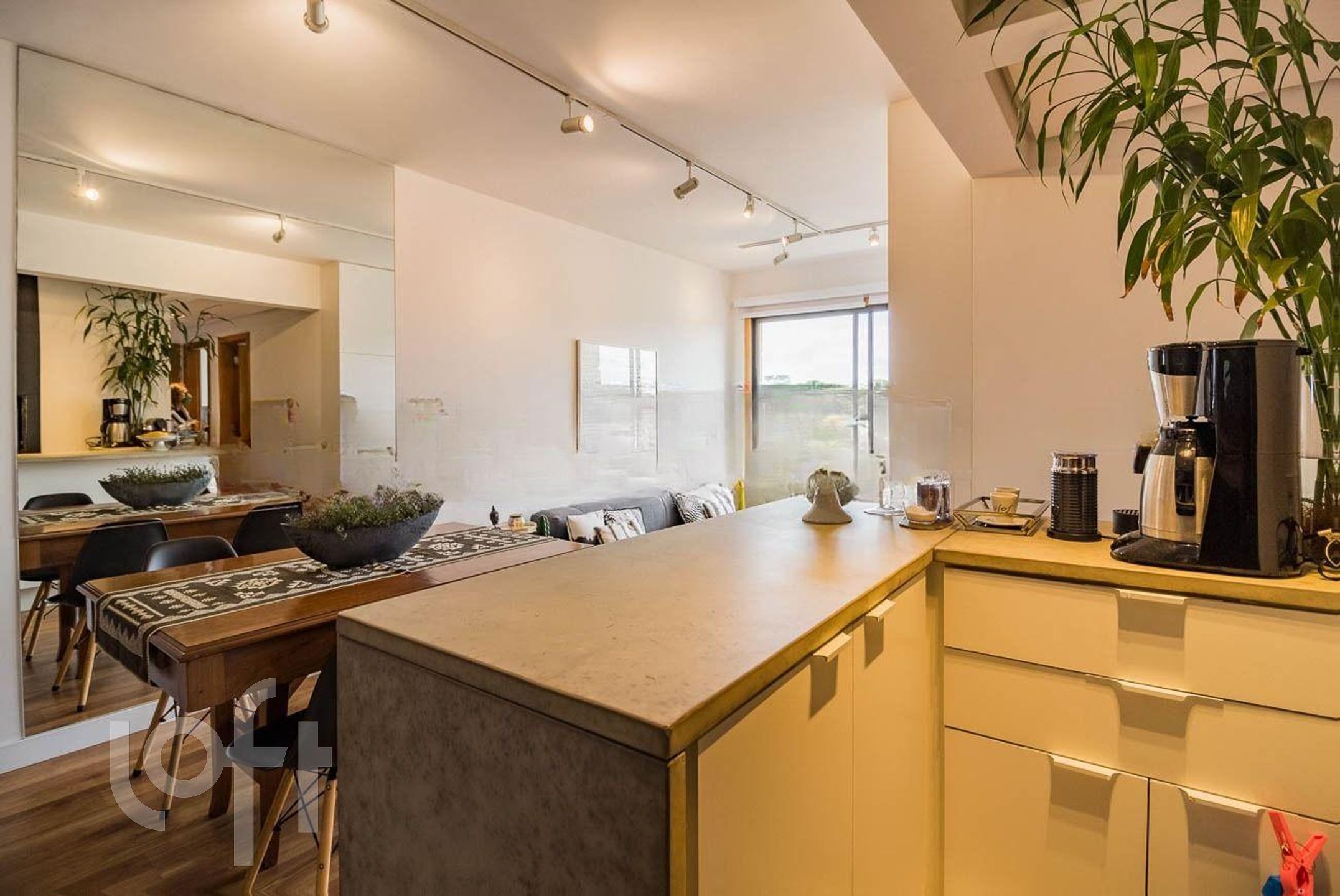 Imagem da propriedade 6