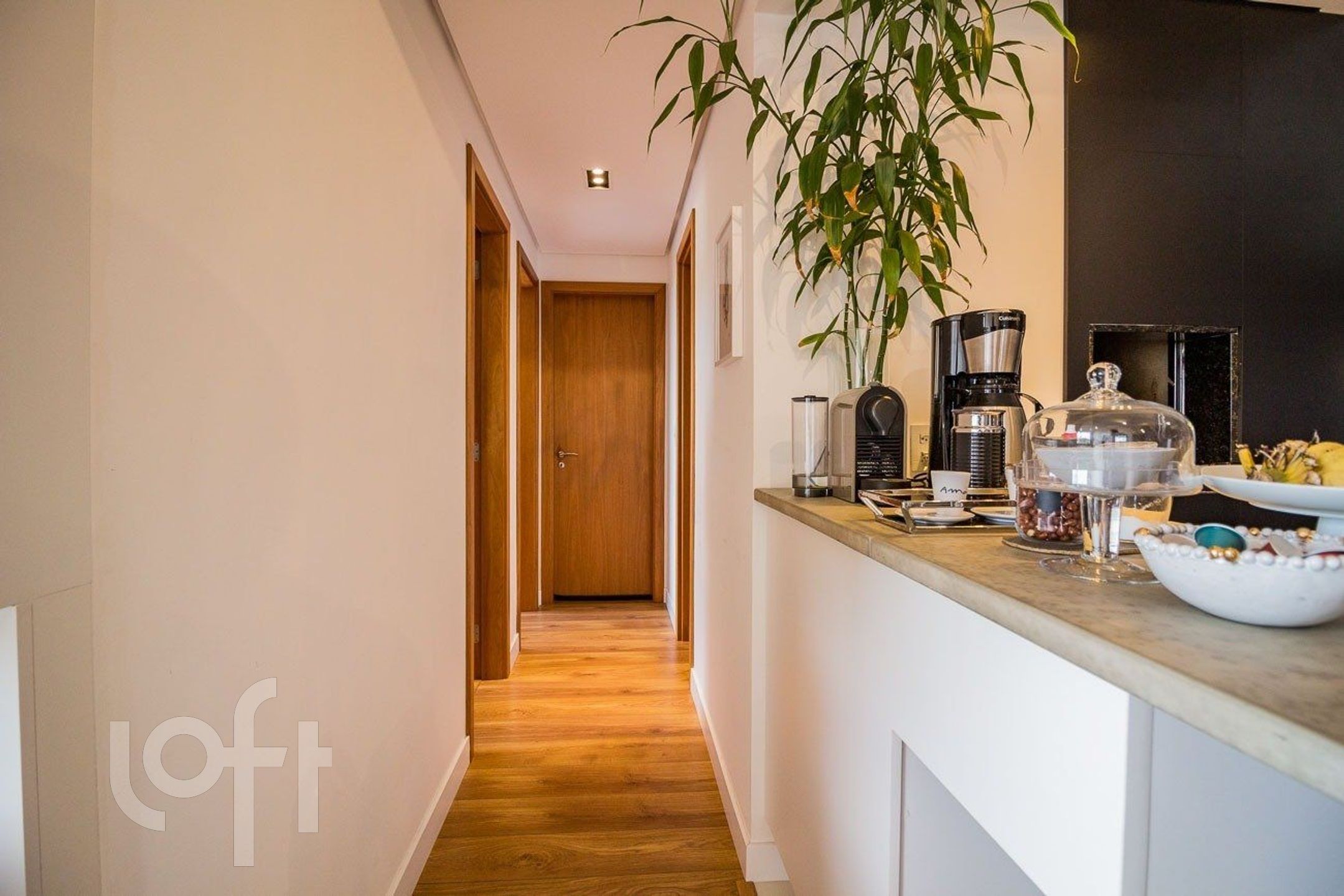 Imagem da propriedade 11