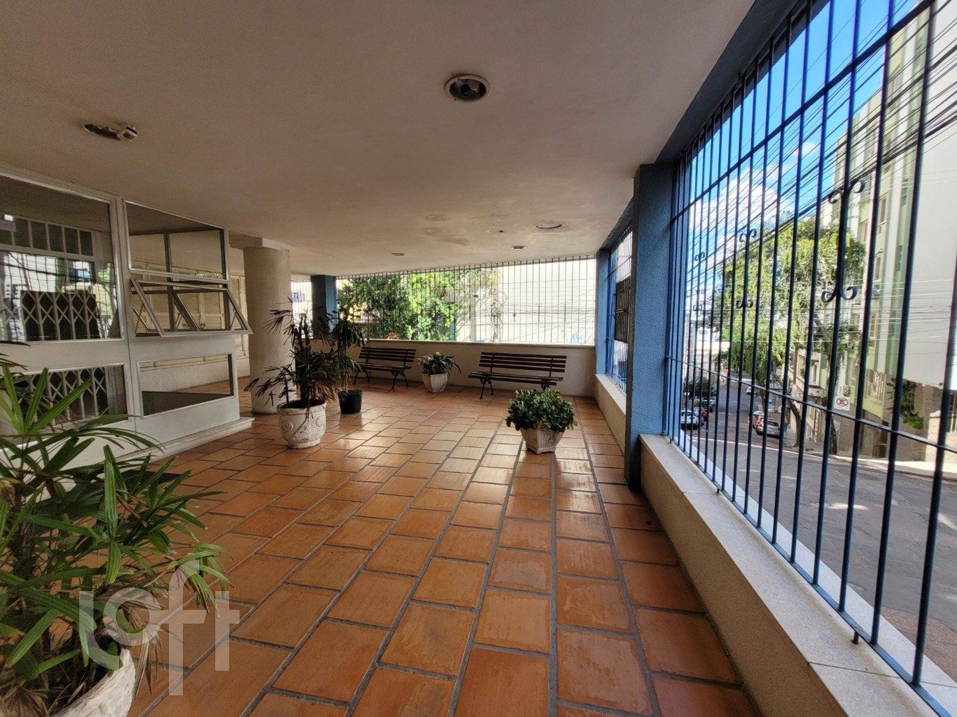 Imagem da propriedade 6