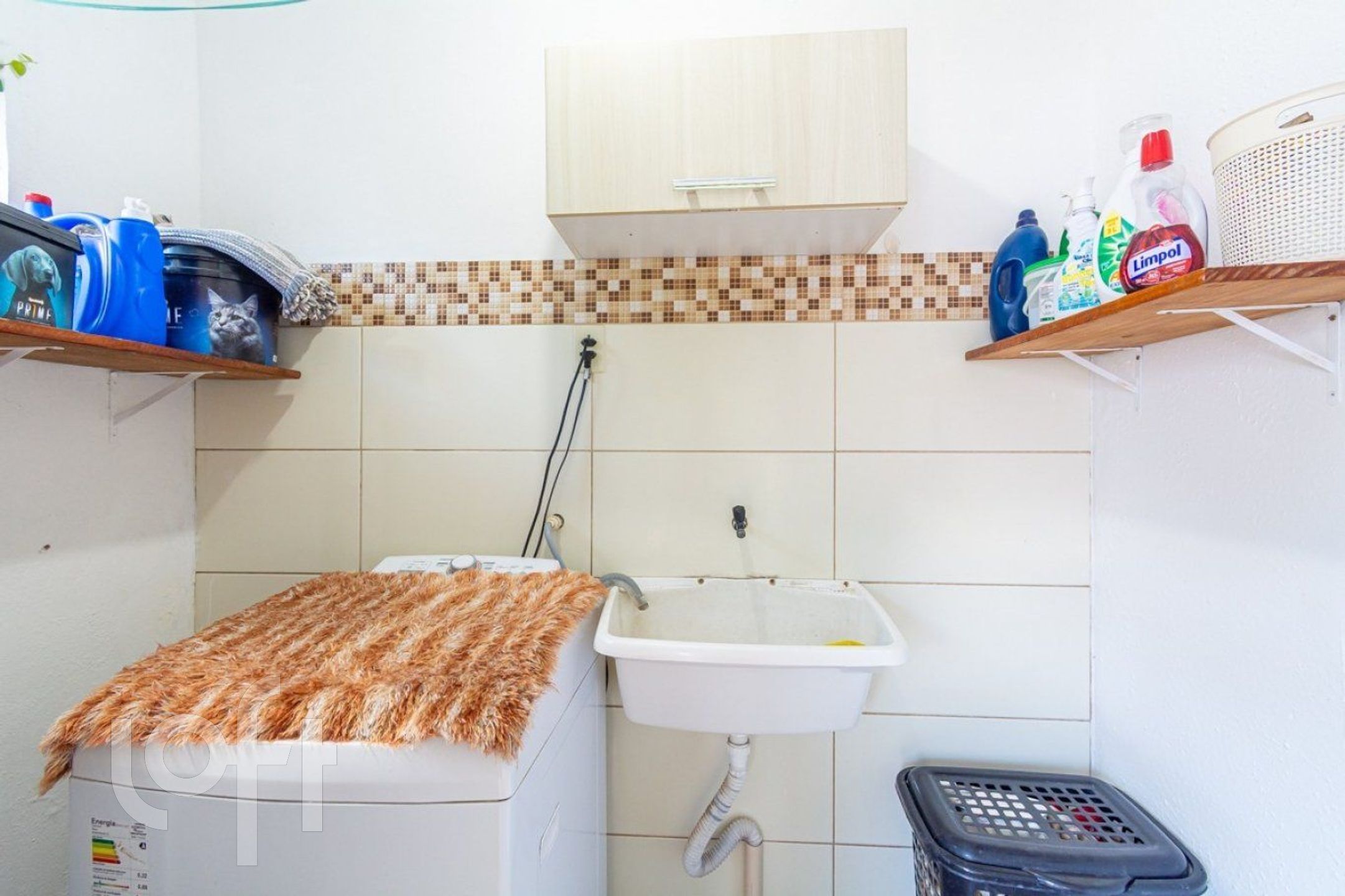 Imagem da propriedade 16