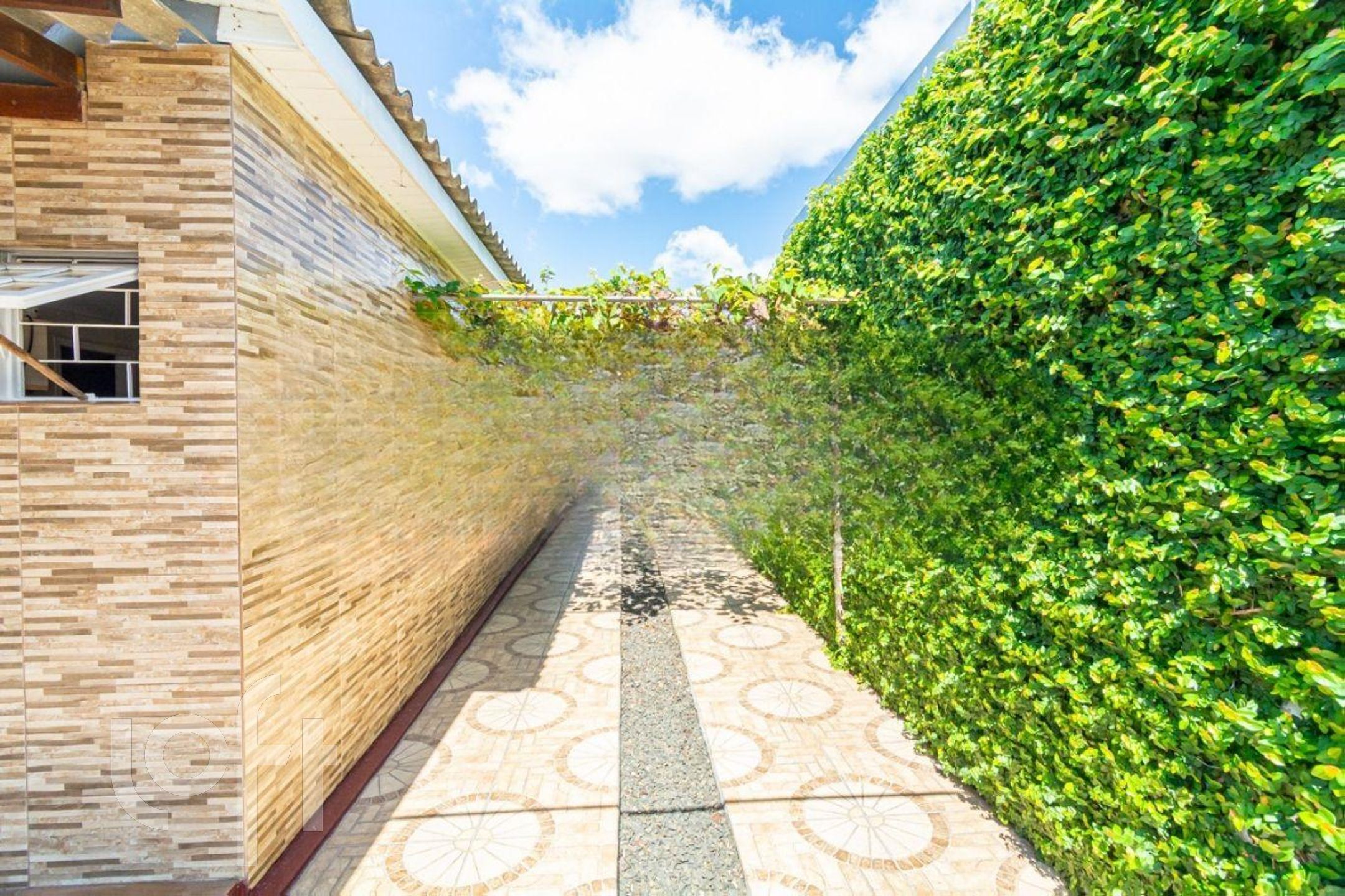 Imagem da propriedade 18