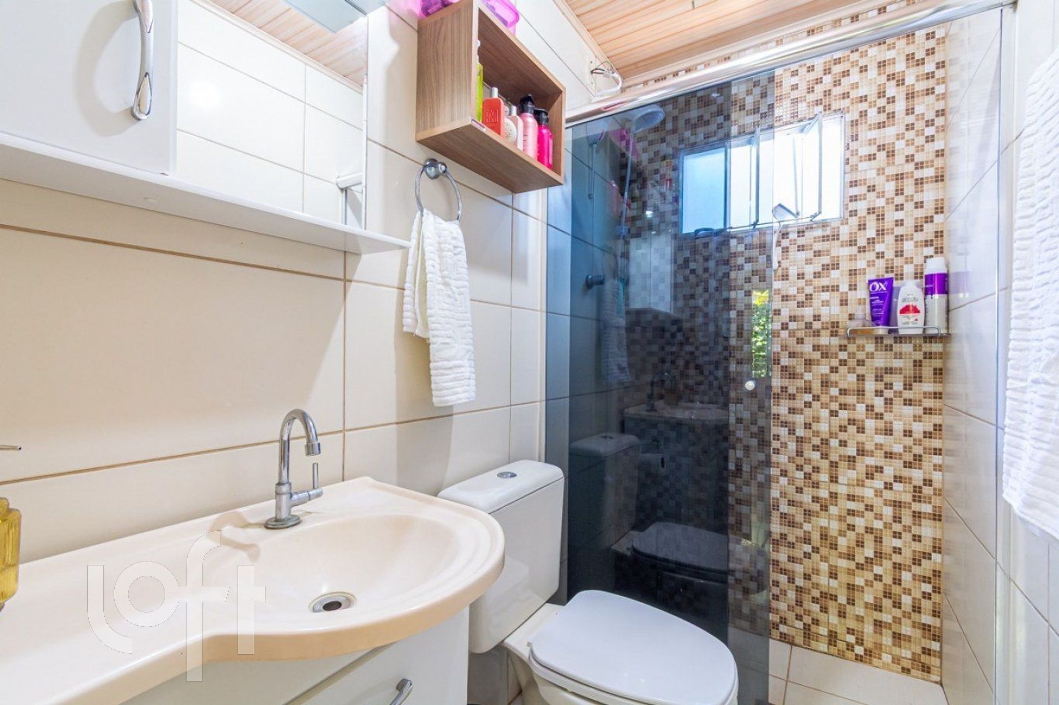 Imagem da propriedade 17