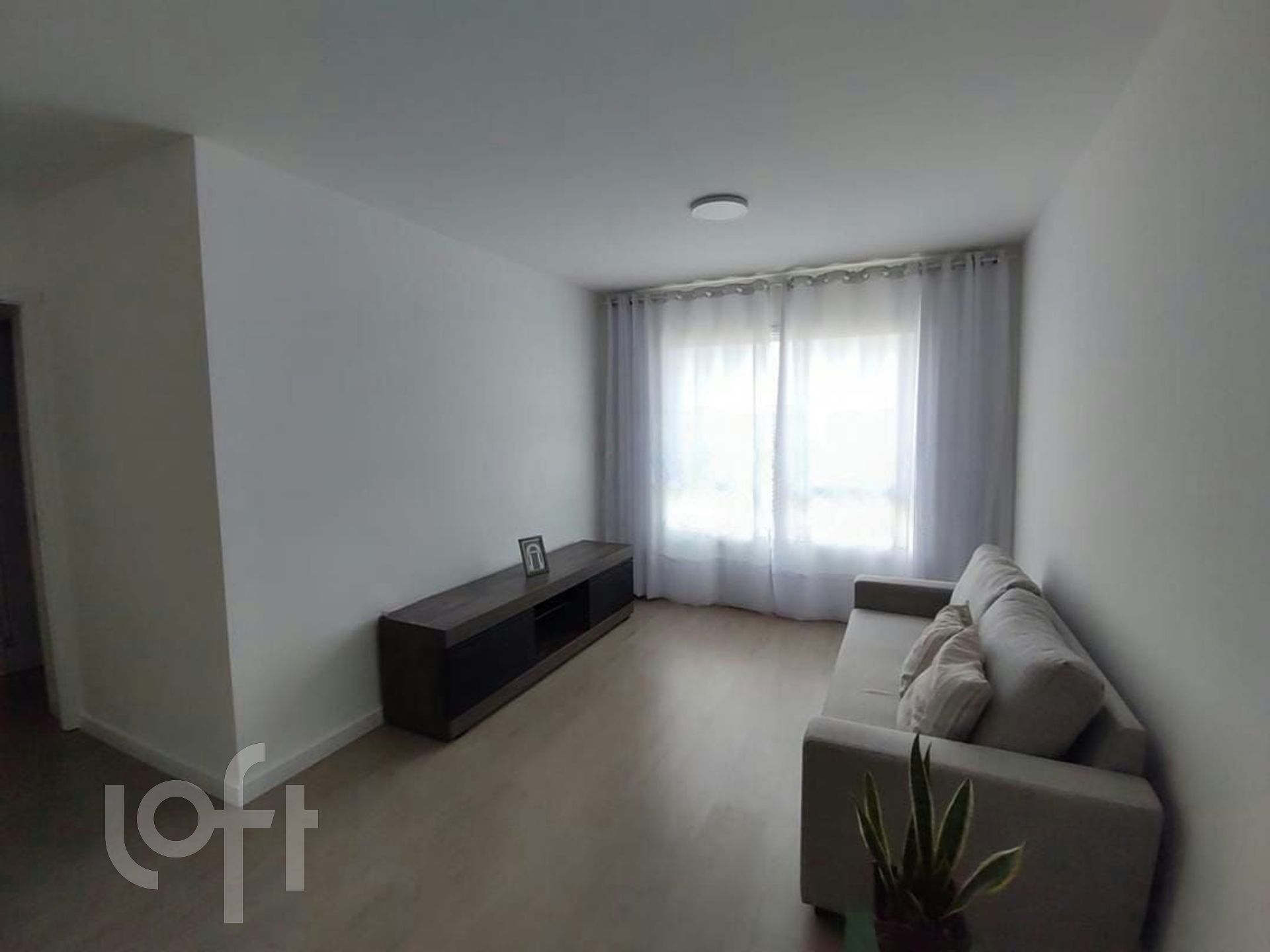 Imagem da propriedade 6