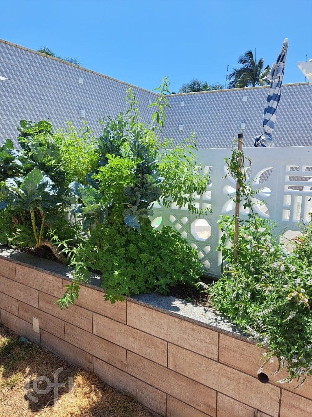 Imagem da propriedade 28