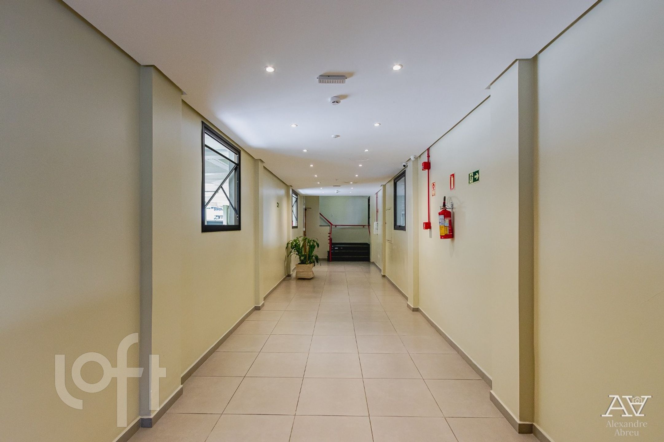 Imagem da propriedade 22